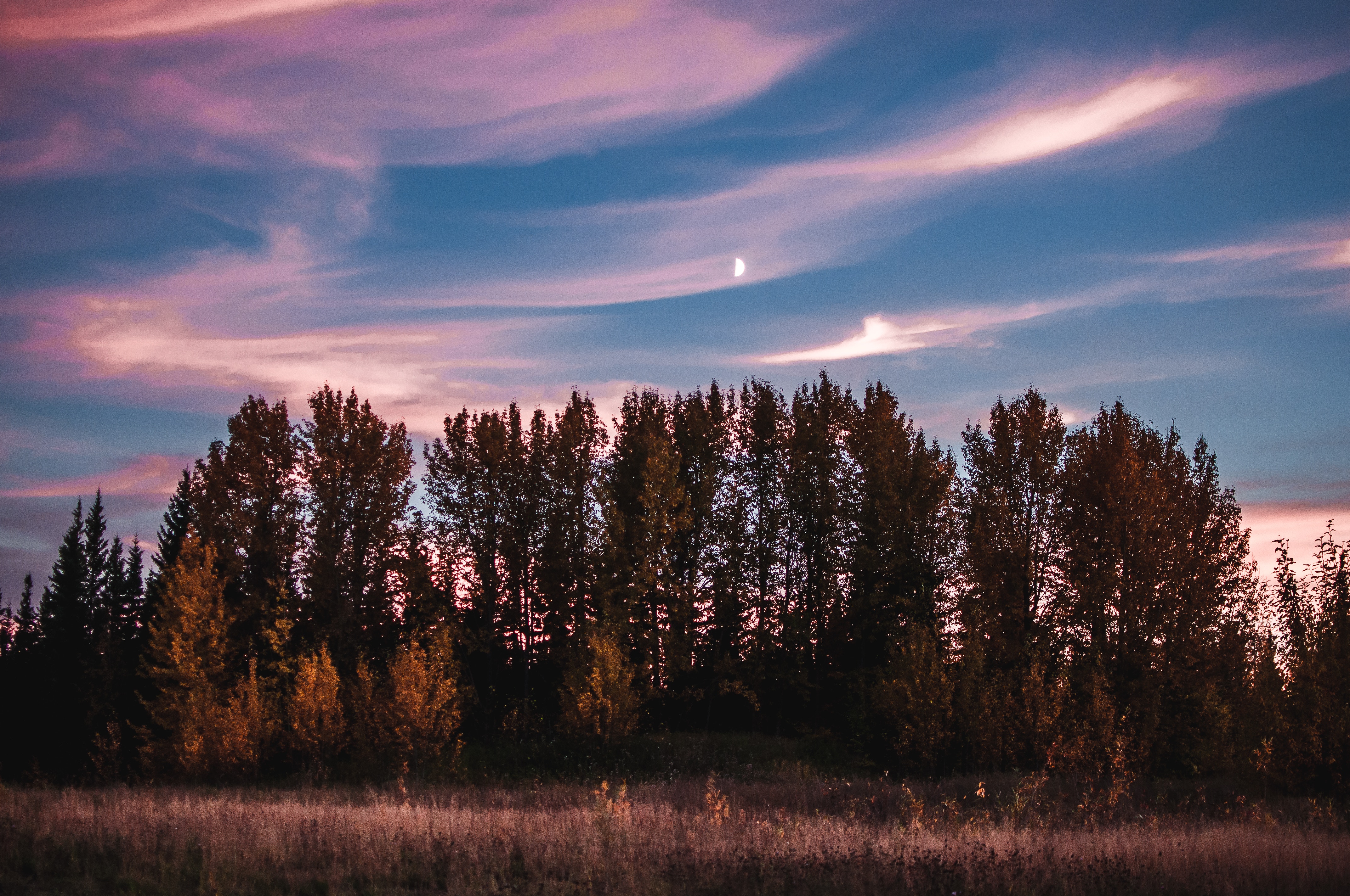 Download mobile wallpaper Trees, Nature, Grass, Sky, Sunset for free.