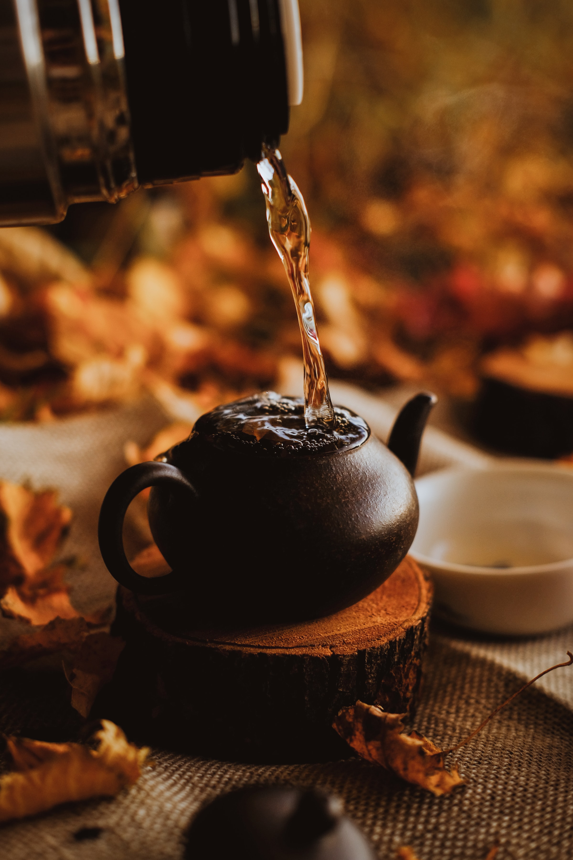 coziness, autumn, miscellanea, miscellaneous, drink, beverage, comfort, teapot, kettle
