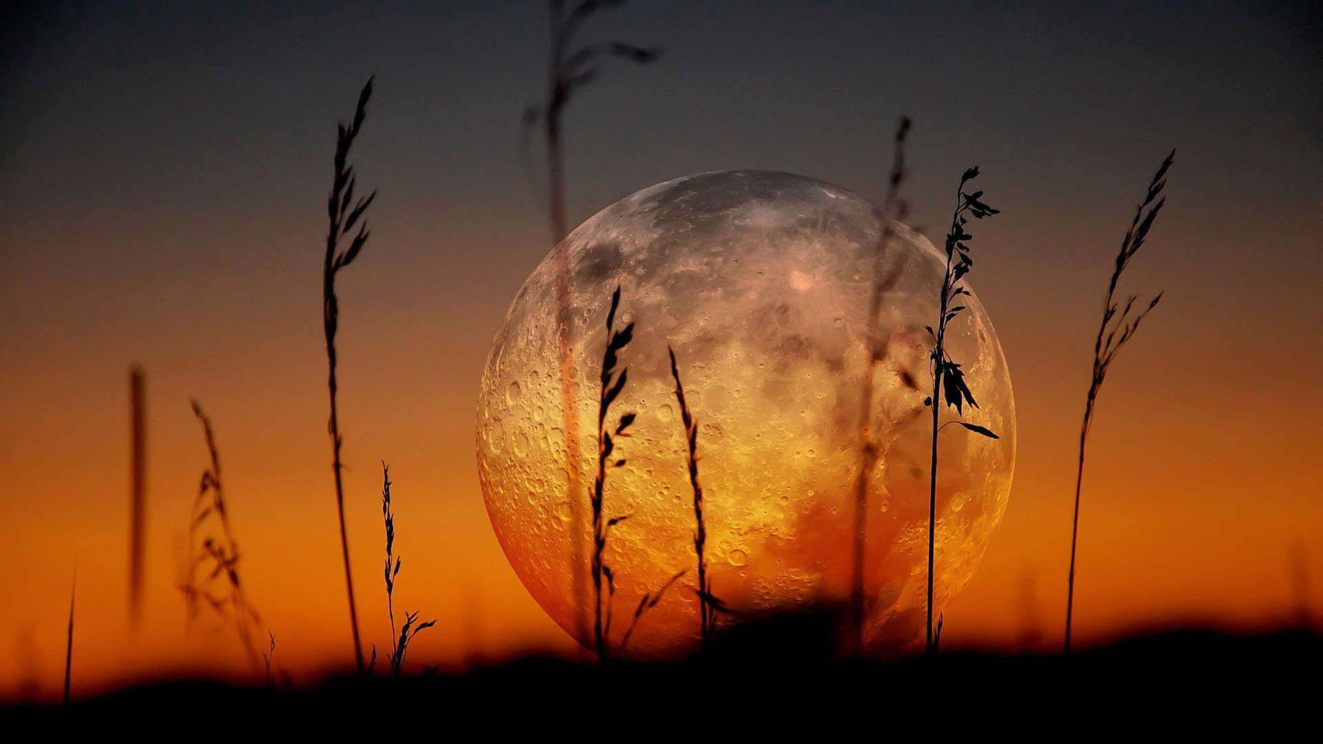 Téléchargez gratuitement l'image Lune, Terre/nature sur le bureau de votre PC