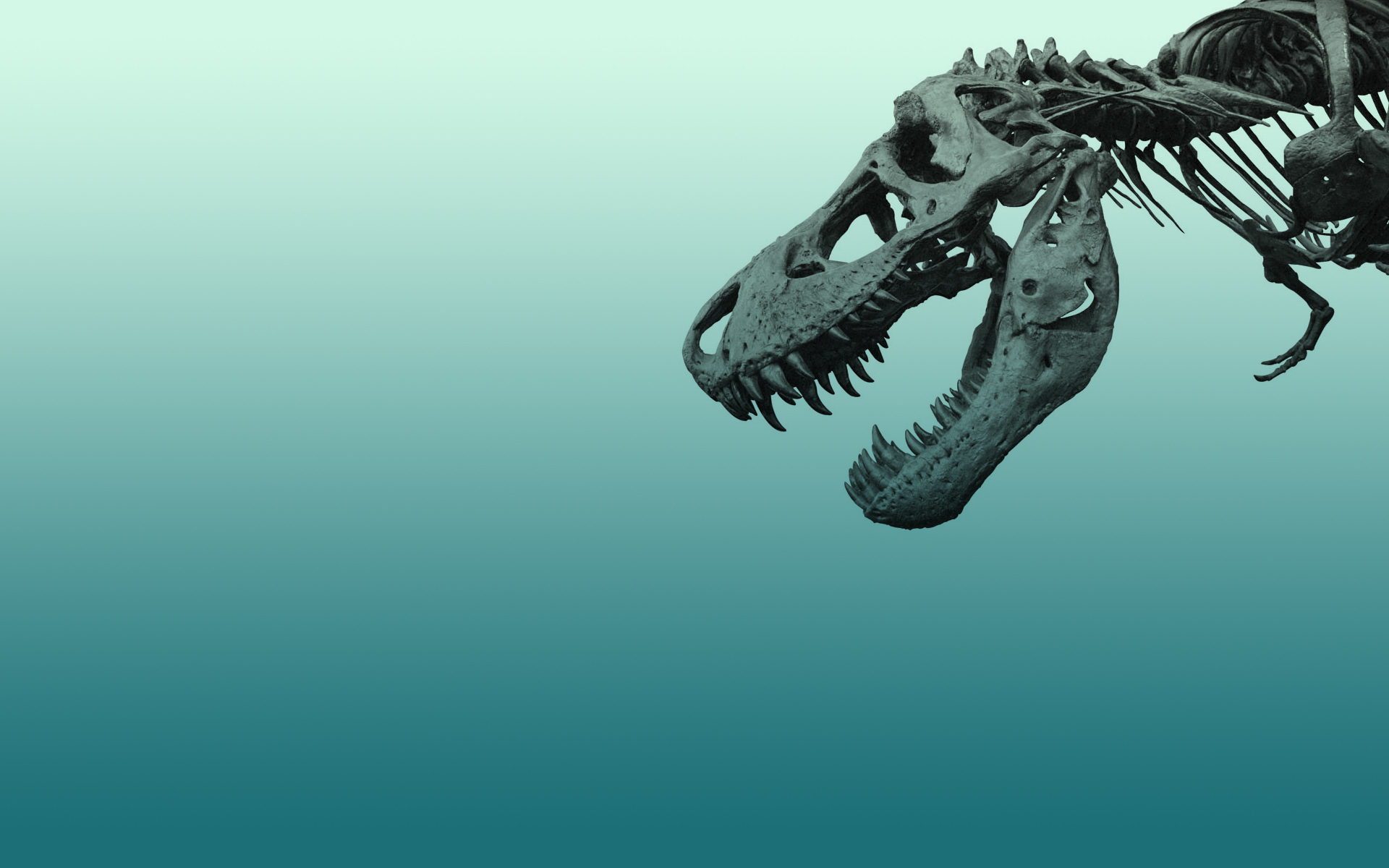 522319 Bild herunterladen tiere, tyrannosaurus rex, dinosaurier - Hintergrundbilder und Bildschirmschoner kostenlos