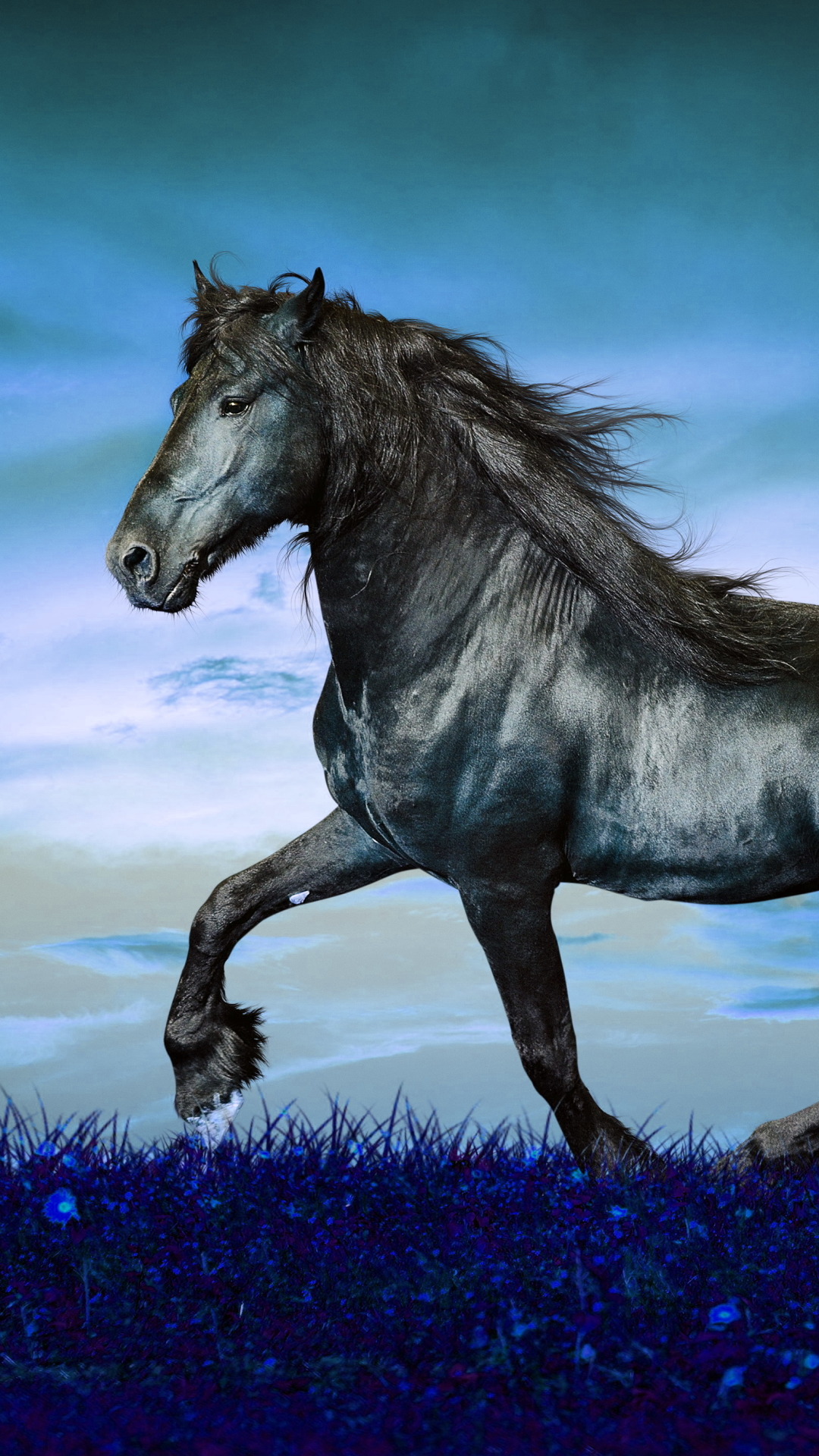 Download mobile wallpaper Animal, Horse for free.