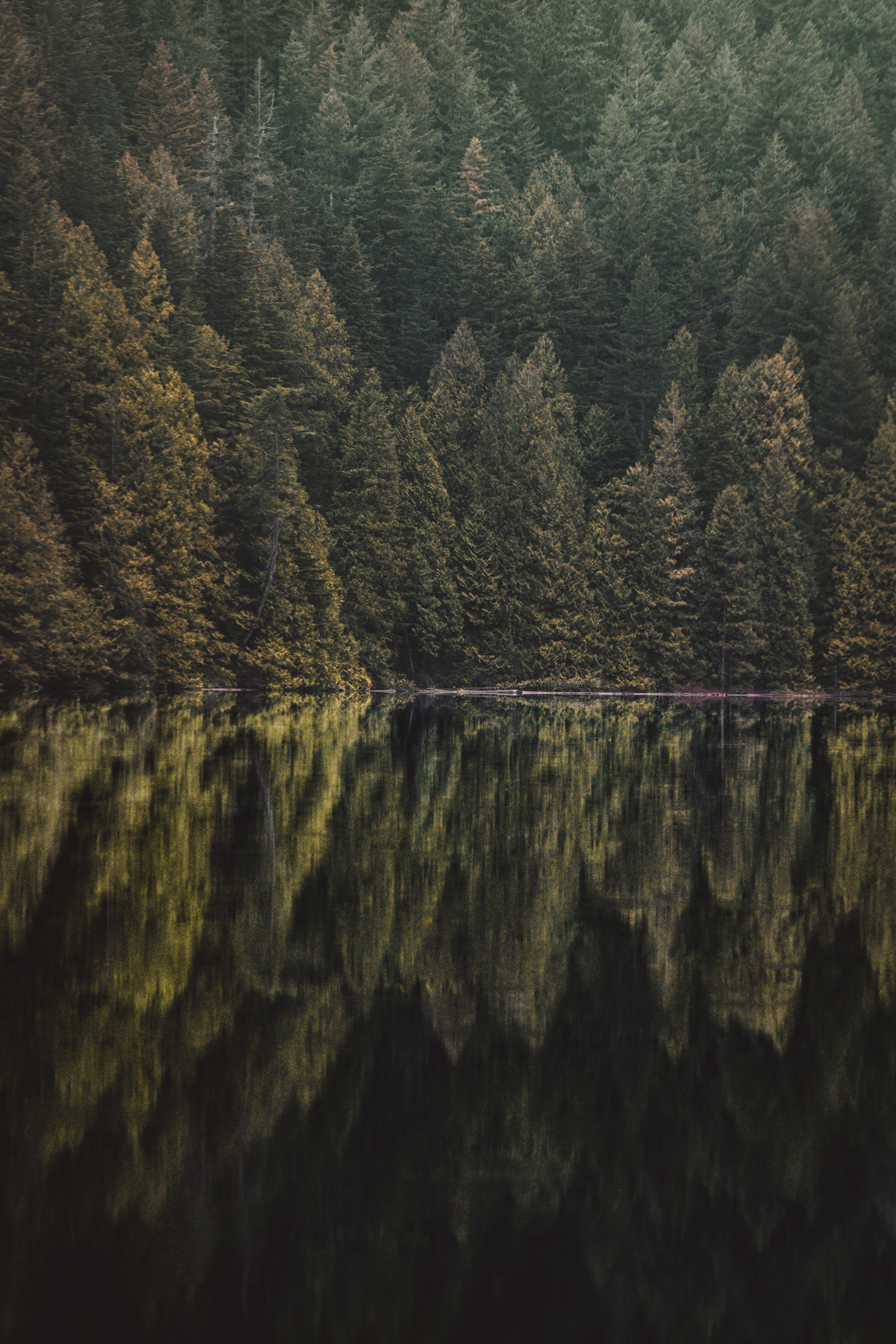 Download mobile wallpaper Reflection, Trees, Forest, Nature, Lake for free.