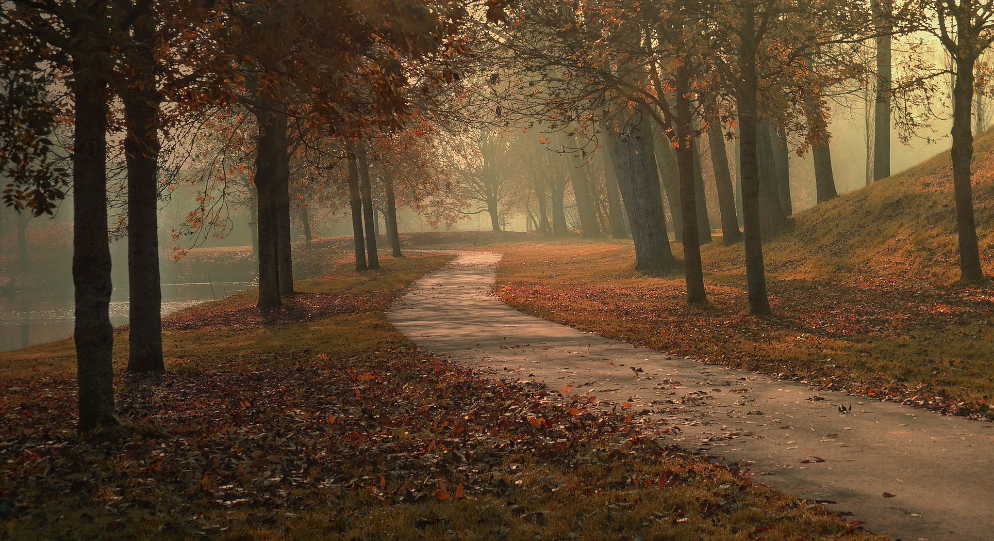 Free download wallpaper Park, Tree, Path, Photography on your PC desktop