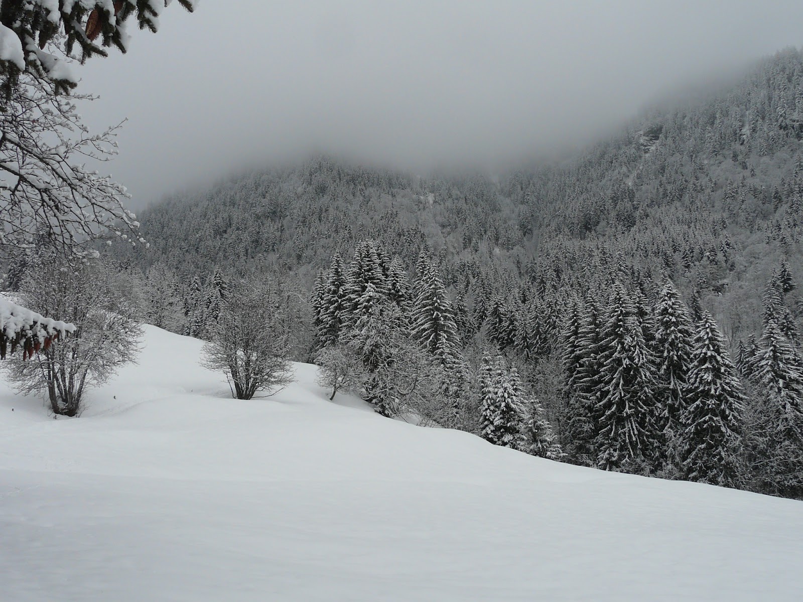 Handy-Wallpaper Winter, Erde/natur kostenlos herunterladen.