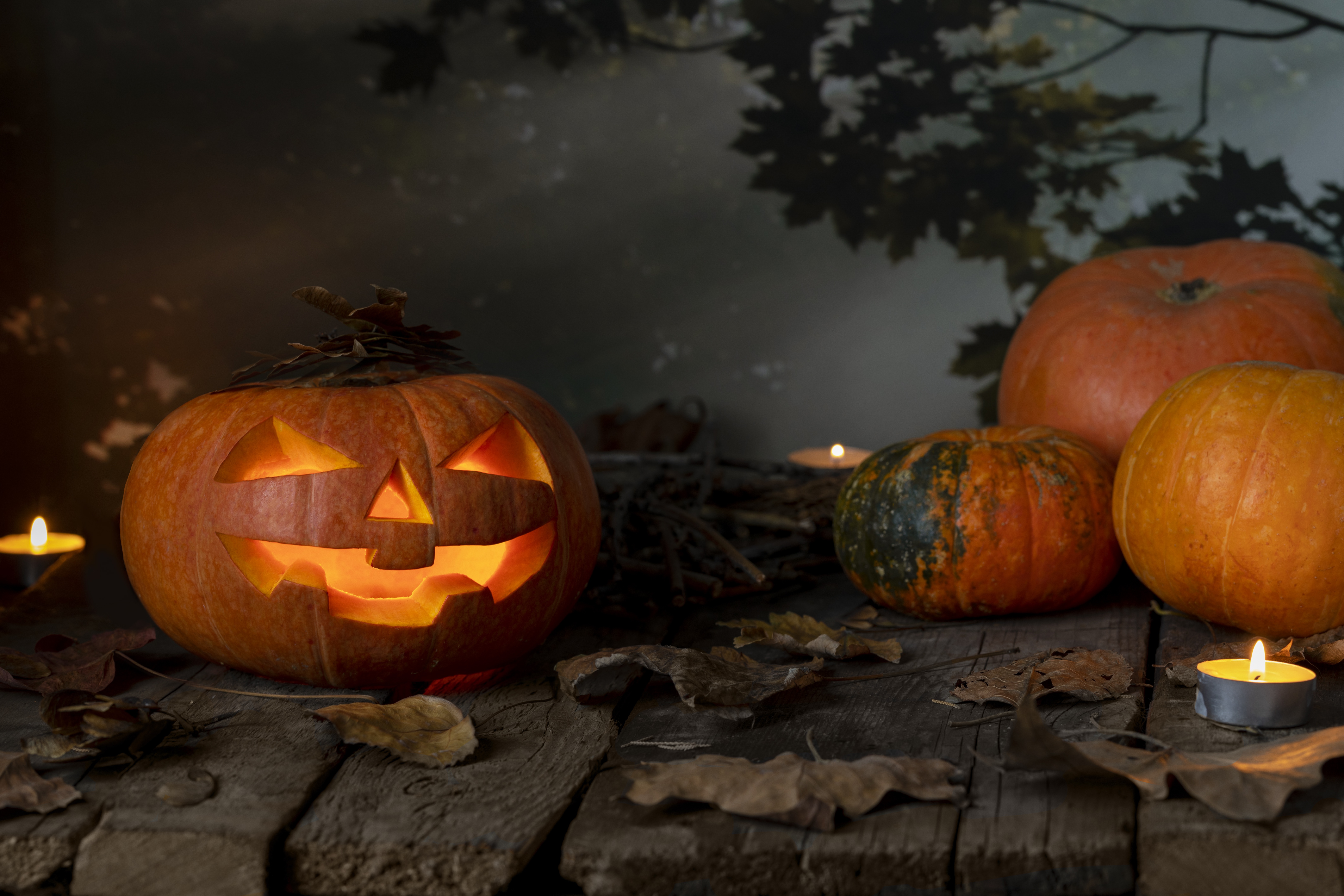 Free download wallpaper Halloween, Pumpkin, Still Life, Holiday, Fall on your PC desktop