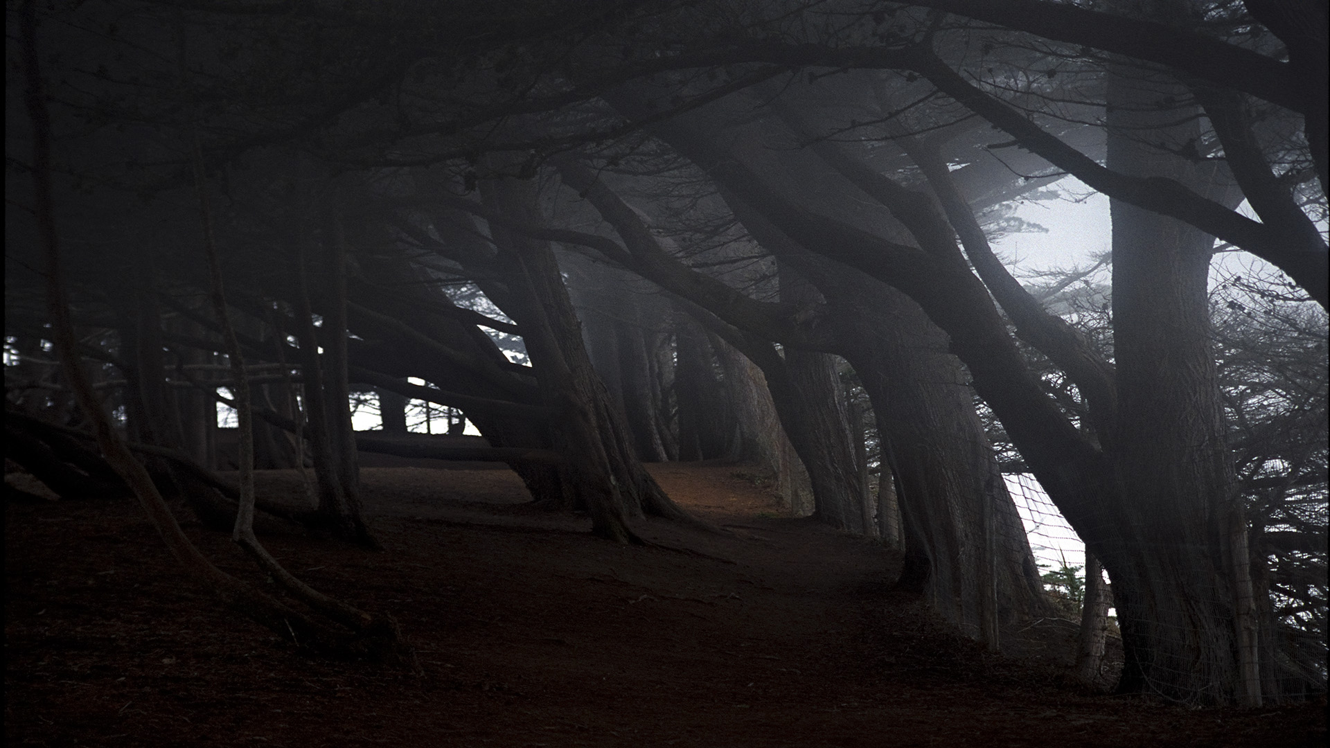 Laden Sie das Wald, Erde/natur-Bild kostenlos auf Ihren PC-Desktop herunter