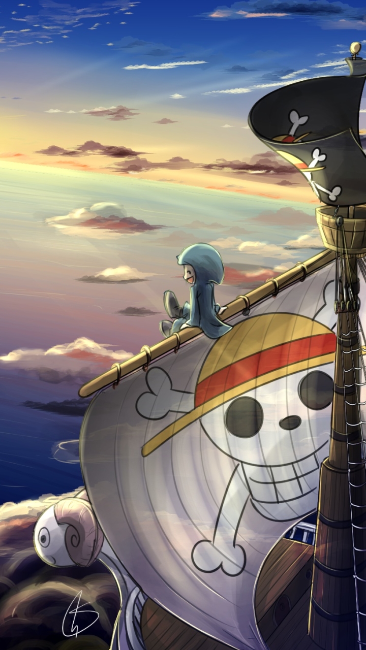 Download mobile wallpaper Anime, One Piece, Sunny (One Piece), Going Merry (One Piece) for free.