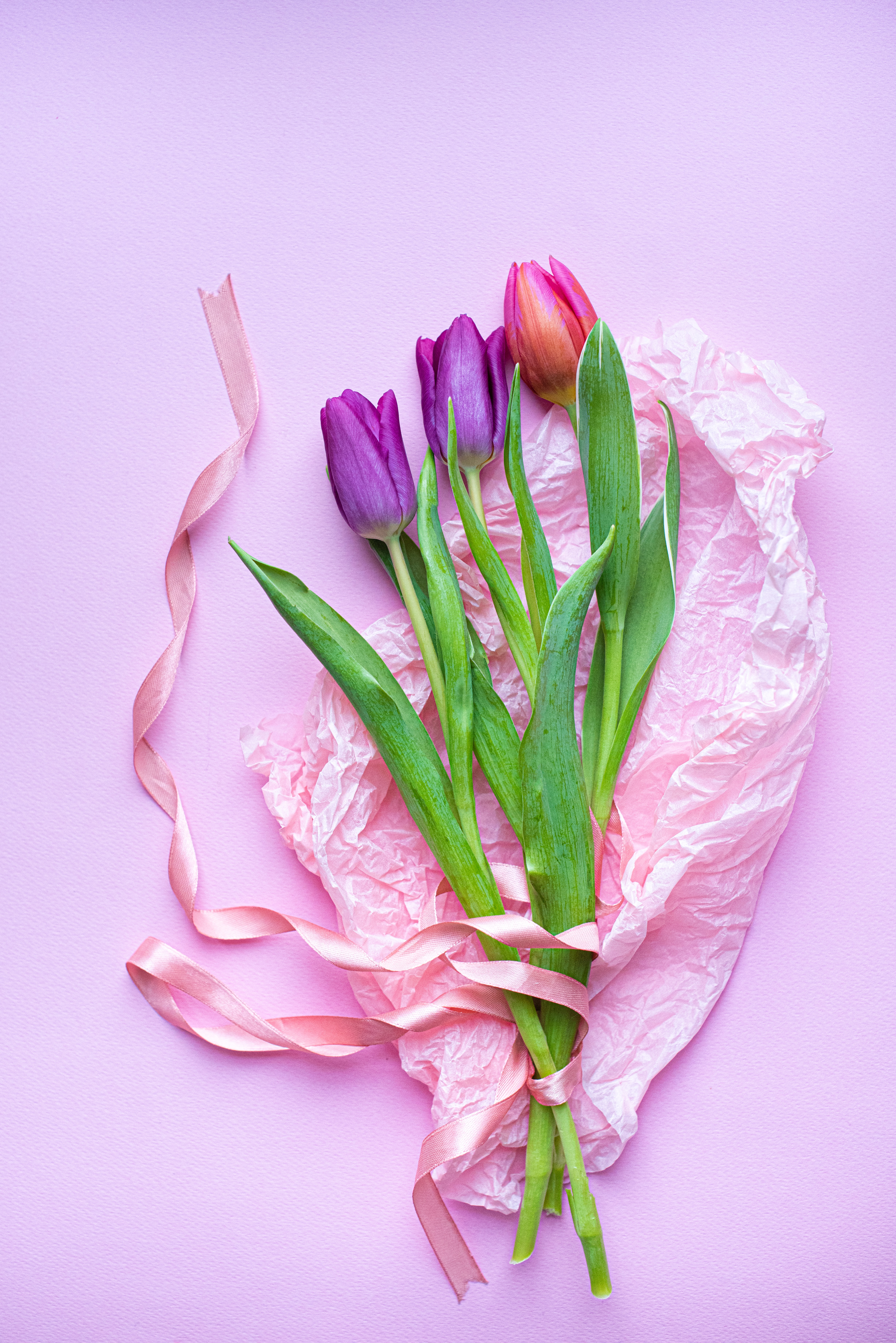Скачать обои бесплатно Цветы, Розовый, Фиолетовый, Букет, Тюльпаны картинка на рабочий стол ПК