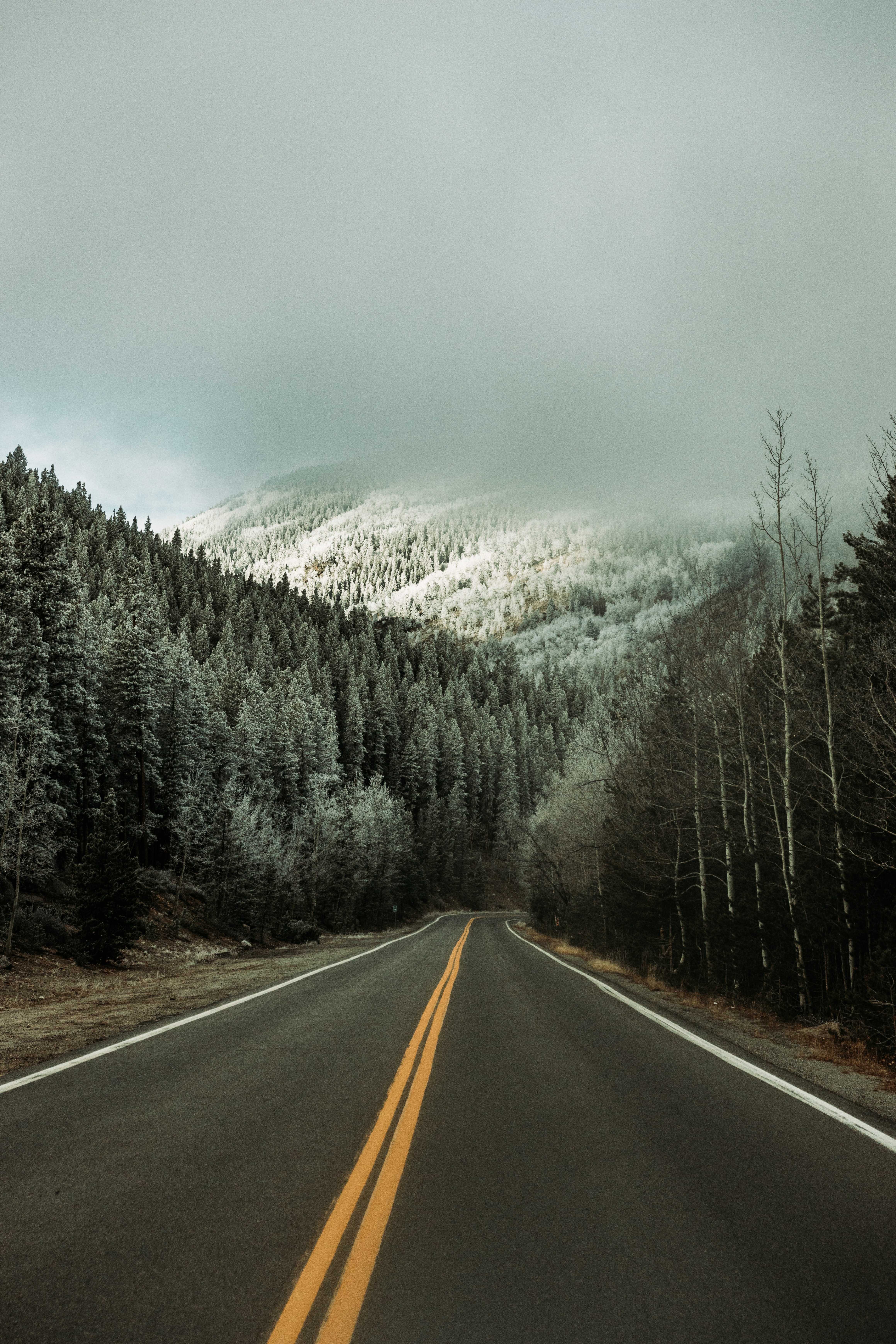 Laden Sie das Natur, Bäume, Straße, Asphalt, Wald, Schnee, Winter-Bild kostenlos auf Ihren PC-Desktop herunter