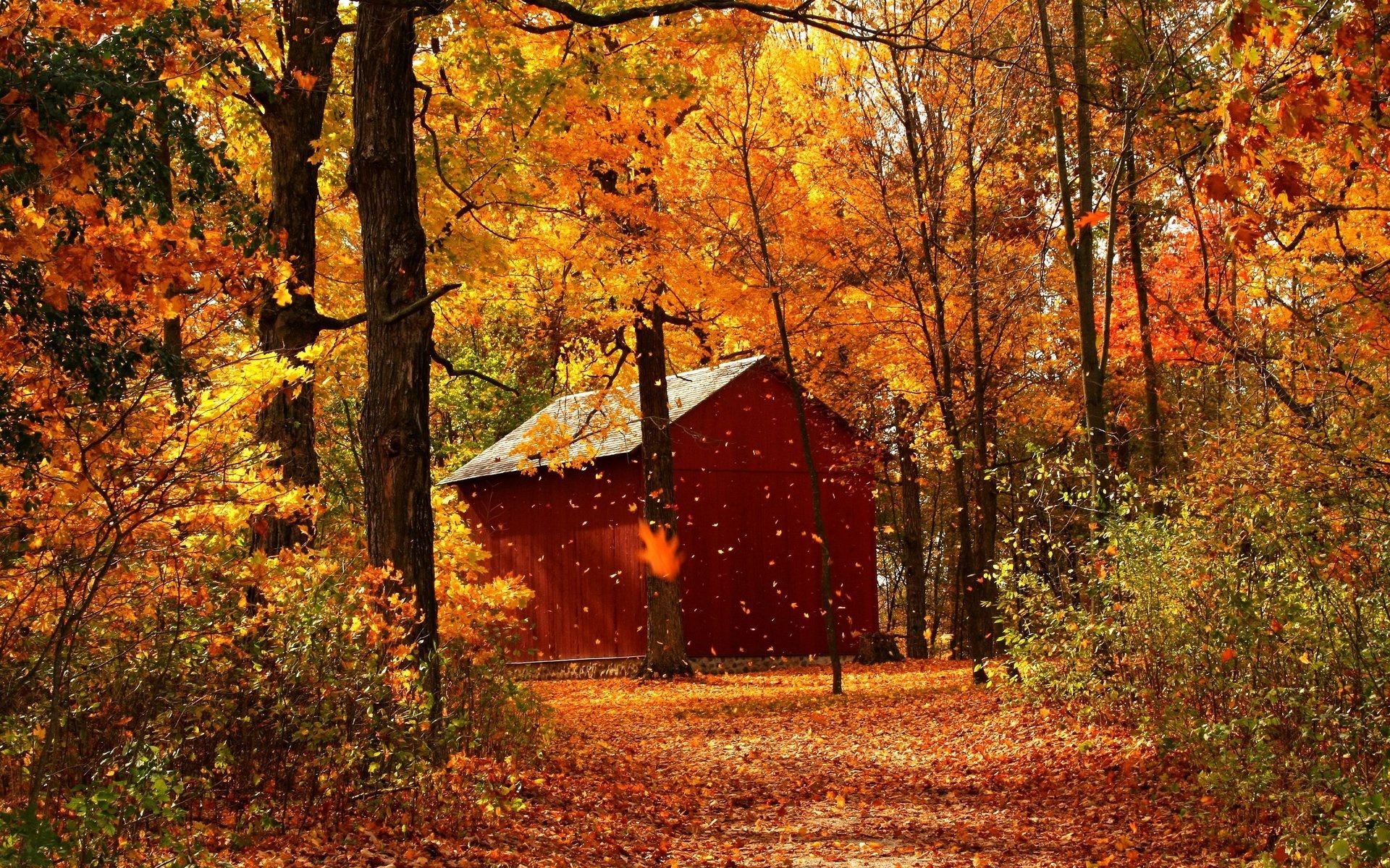 Laden Sie das Fotografie, Herbst-Bild kostenlos auf Ihren PC-Desktop herunter