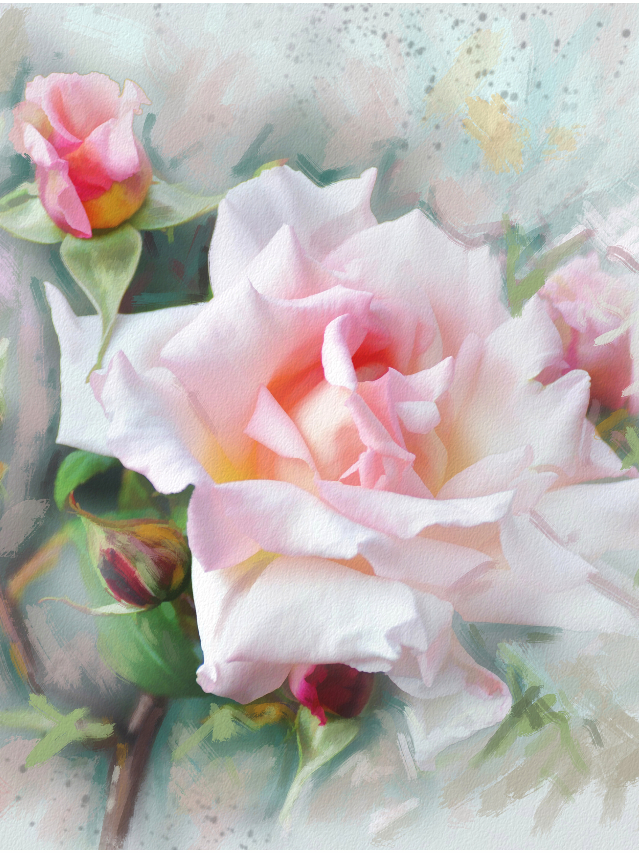Handy-Wallpaper Blume, Rose, Knospe, Malerei, Künstlerisch, Pinke Blume, Pinke Rose, Wasserfarbe kostenlos herunterladen.