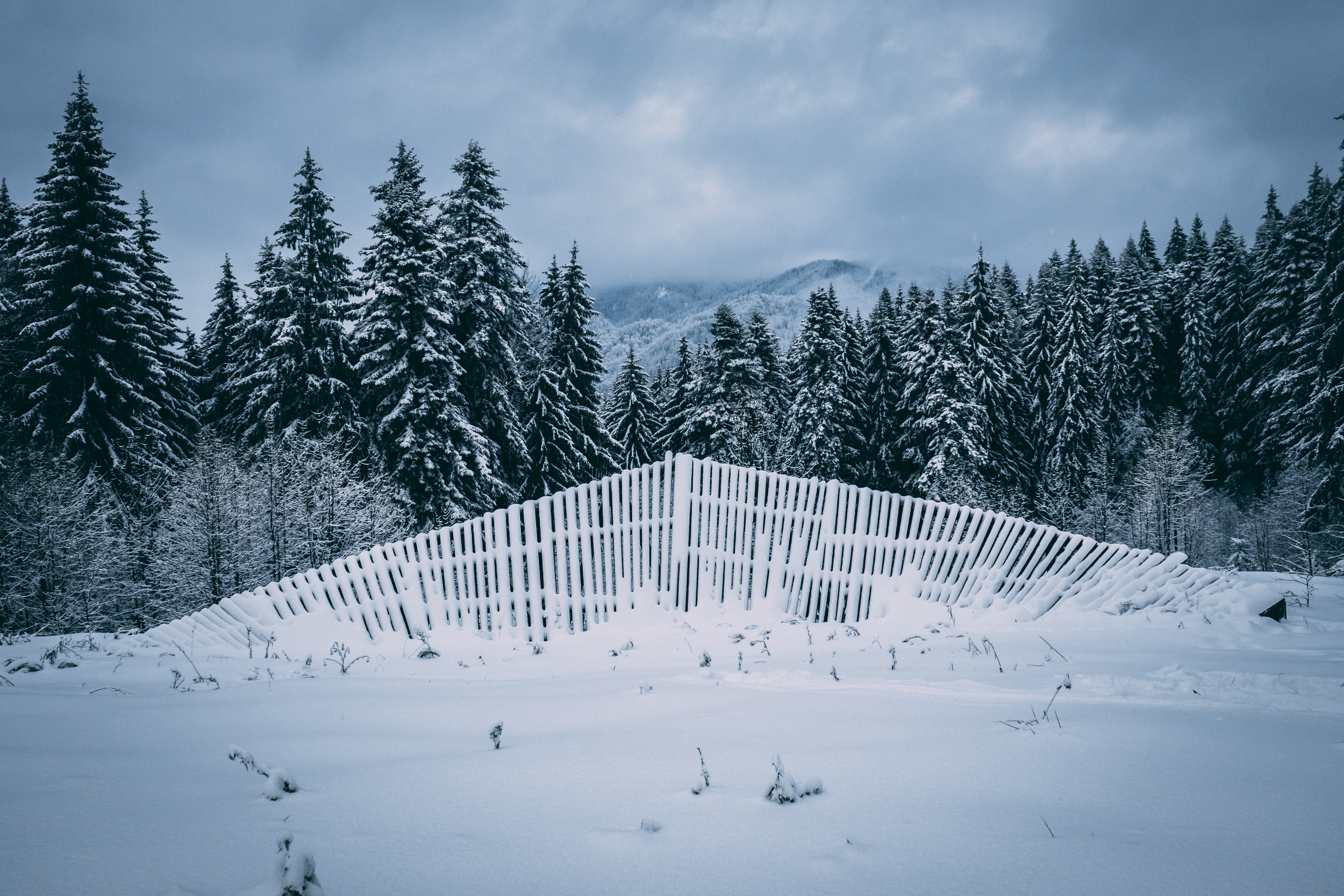 Download mobile wallpaper Winter, Snow, Fence, Photography, Fir Tree for free.