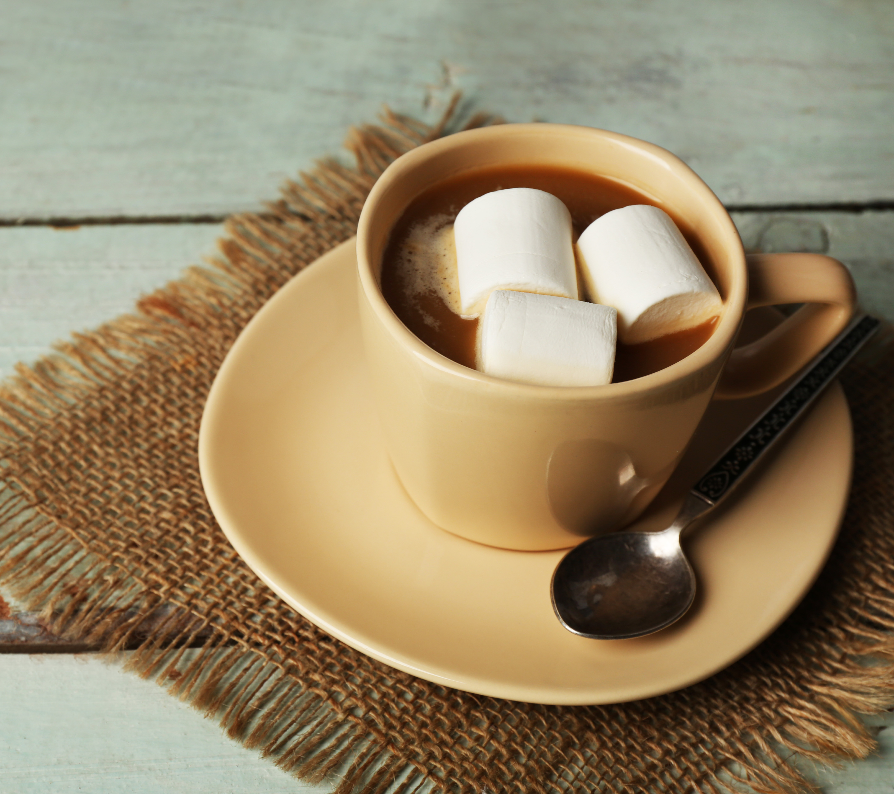 Free download wallpaper Food, Cup, Marshmallow, Hot Chocolate on your PC desktop