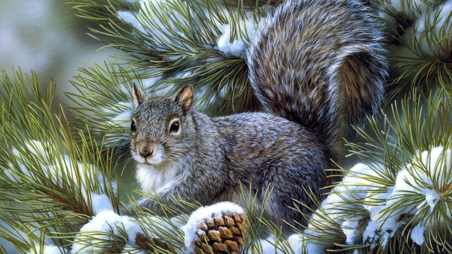 Download mobile wallpaper Spruce, Fir, Sit, Wood, Tree, Animals, Squirrel for free.