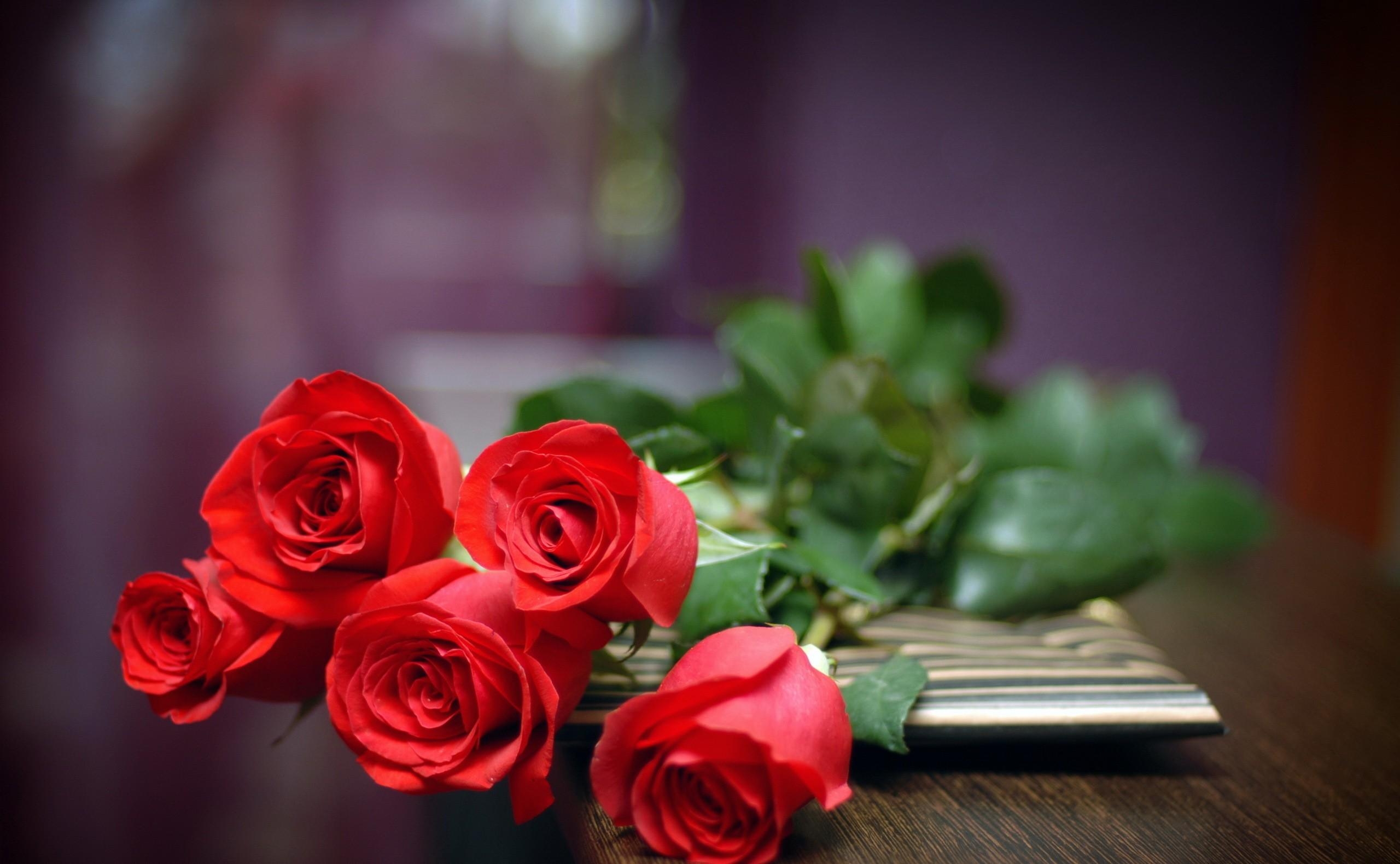 94598 скачать обои розы, лежать, цветы, красные, букет - заставки и картинки бесплатно