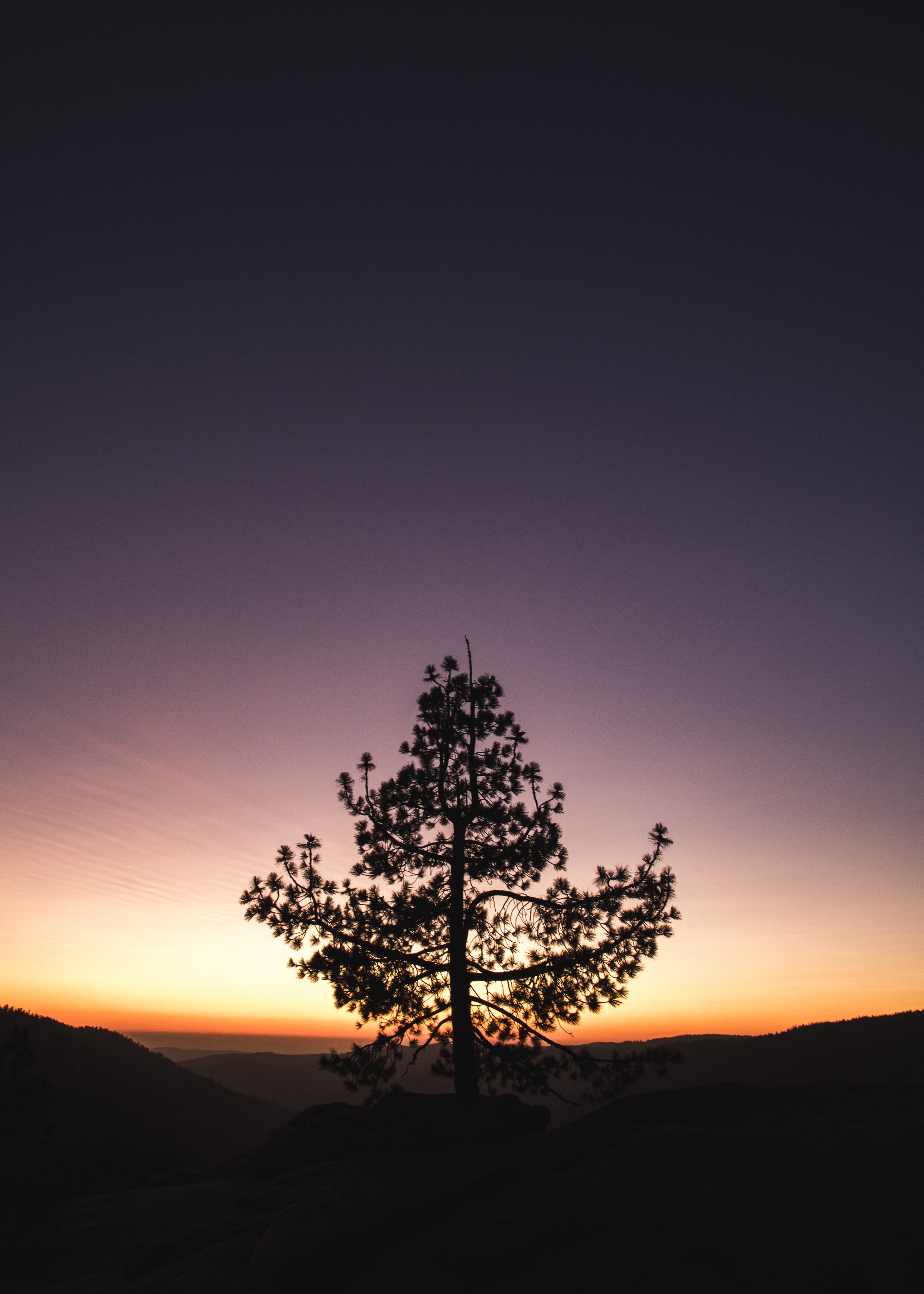 Free download wallpaper Wood, Nature, Sunset, Horizon, Tree on your PC desktop