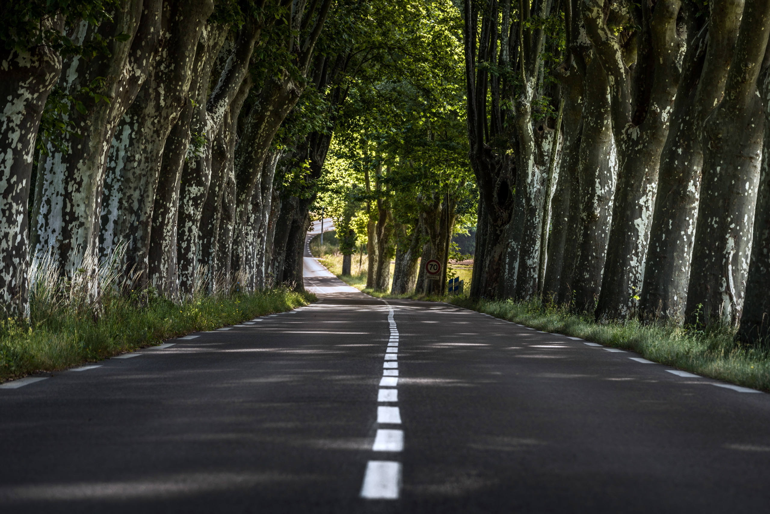 Free download wallpaper Road, Man Made, Tree Lined on your PC desktop