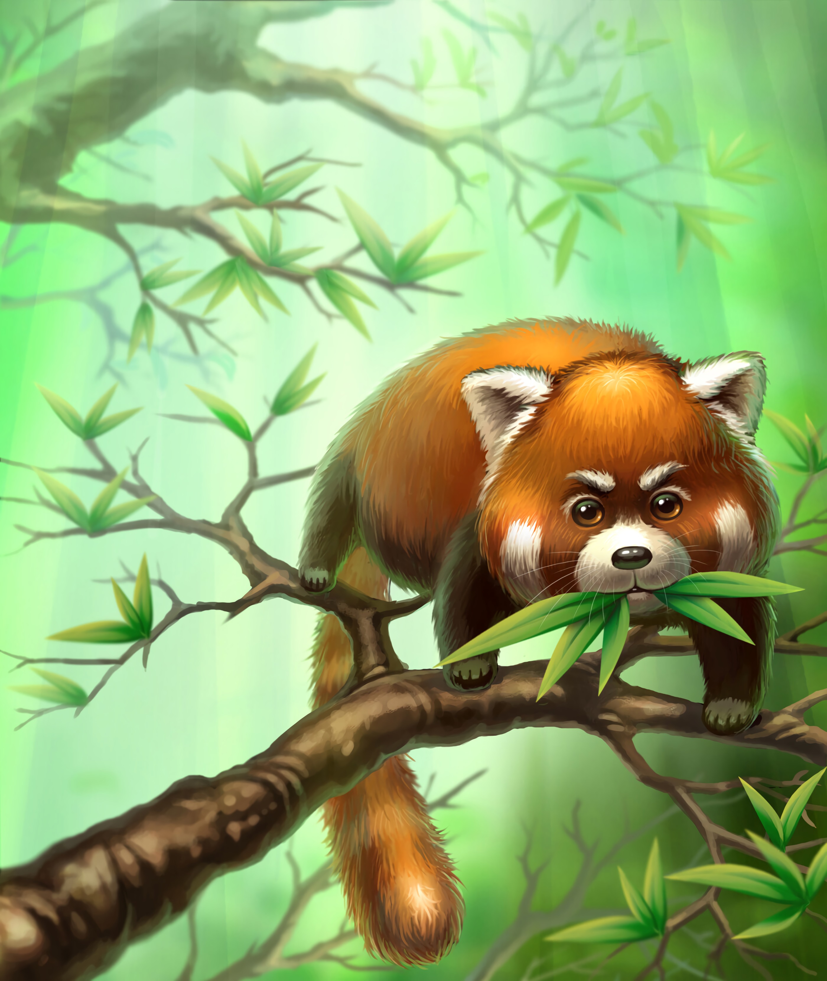 59171 descargar fondo de pantalla arte, hojas, sucursales, ramas, animal, pequeño panda, panda pequeño: protectores de pantalla e imágenes gratis
