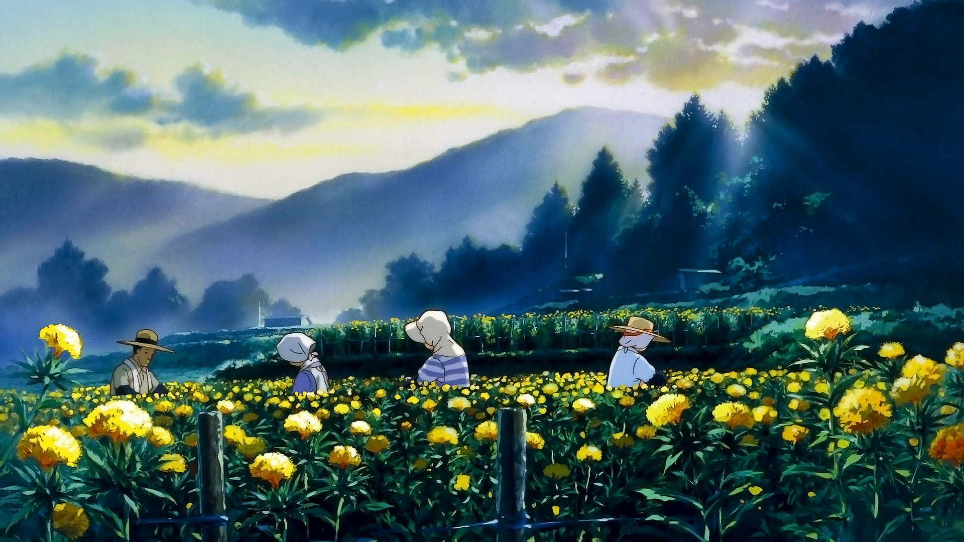 anime, only yesterday