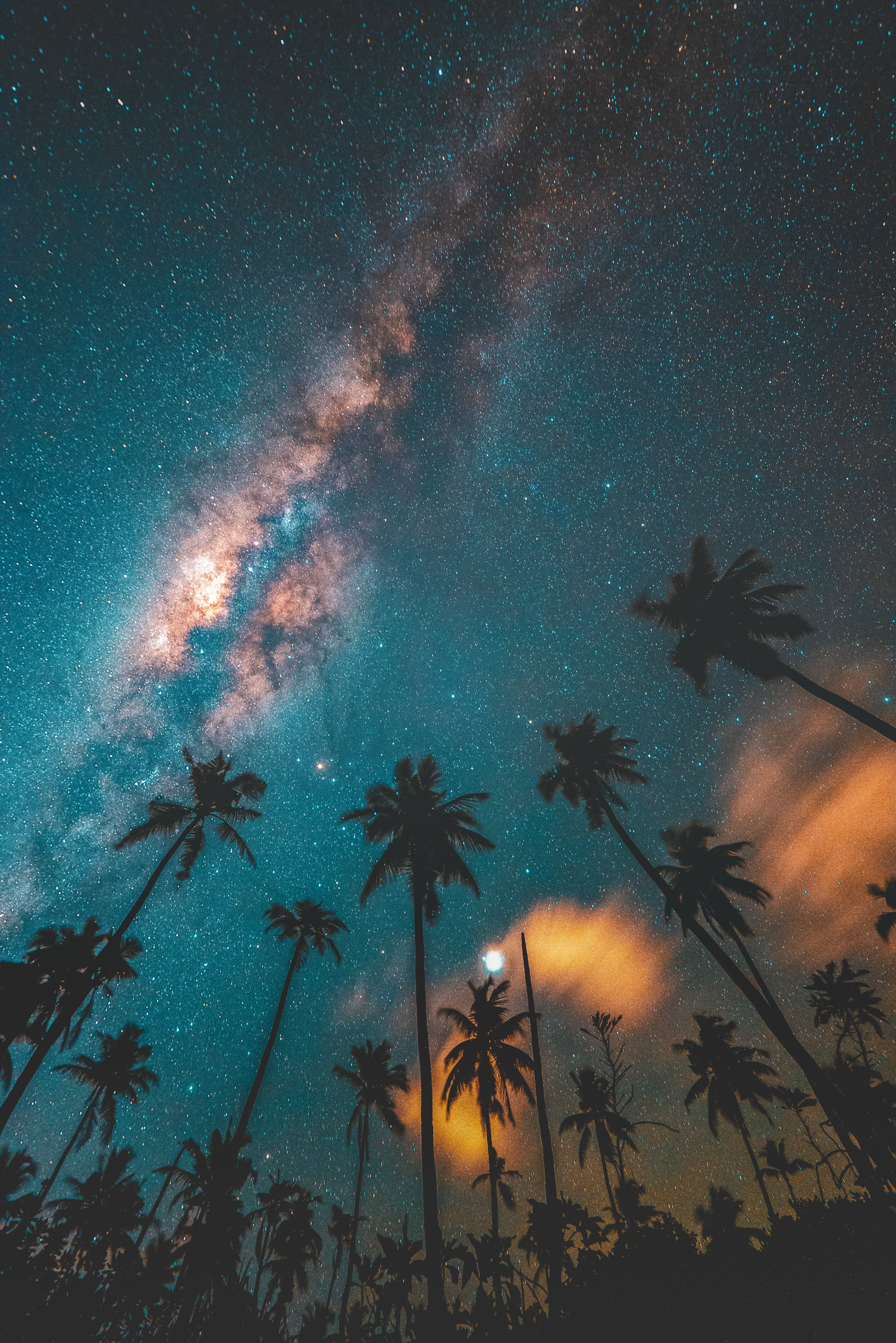 61130 скачать картинку природа, ночь, пальмы, темный, звездное небо - обои и заставки бесплатно