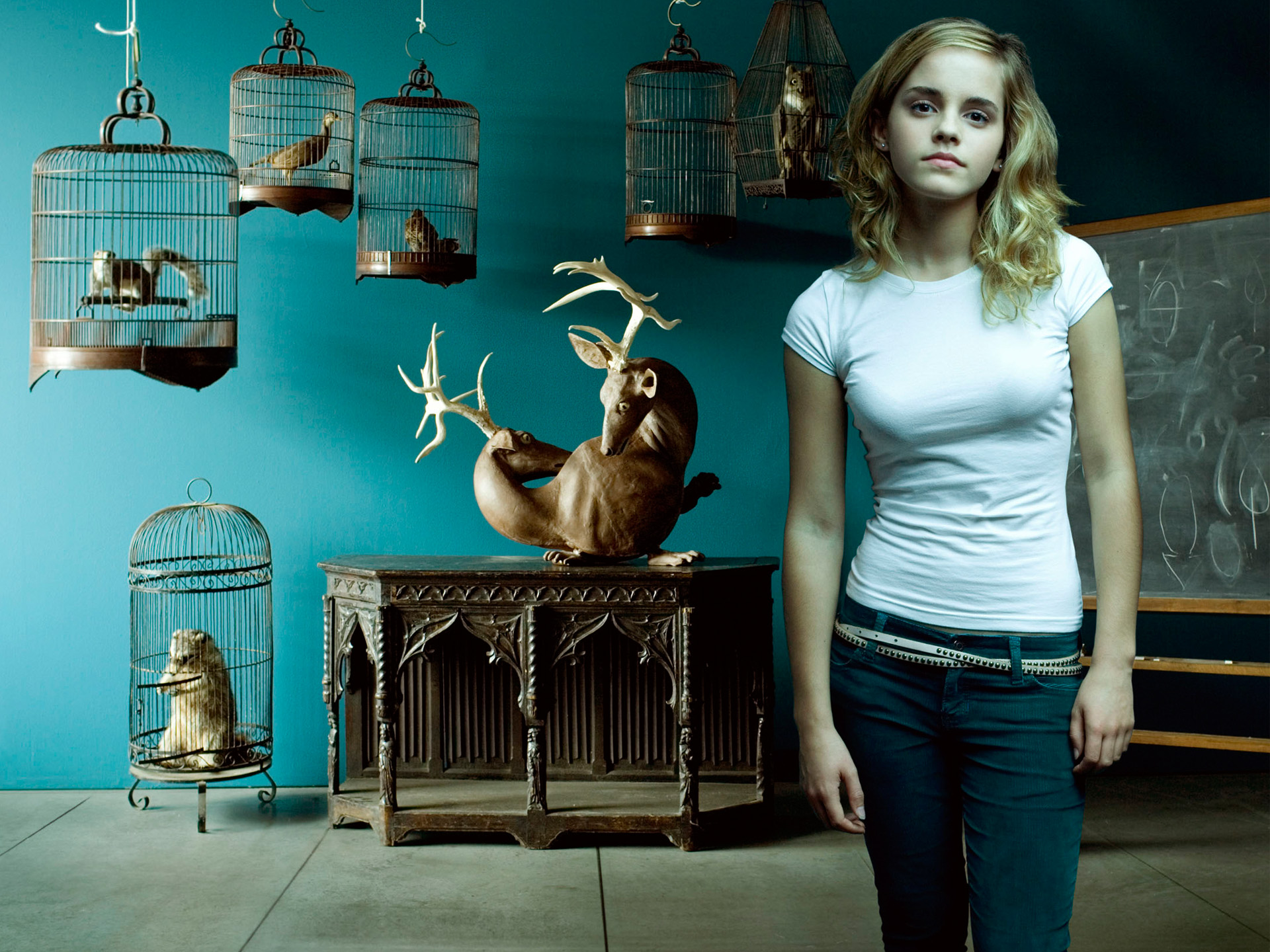 Handy-Wallpaper Harry Potter, Emma Watson, Filme kostenlos herunterladen.