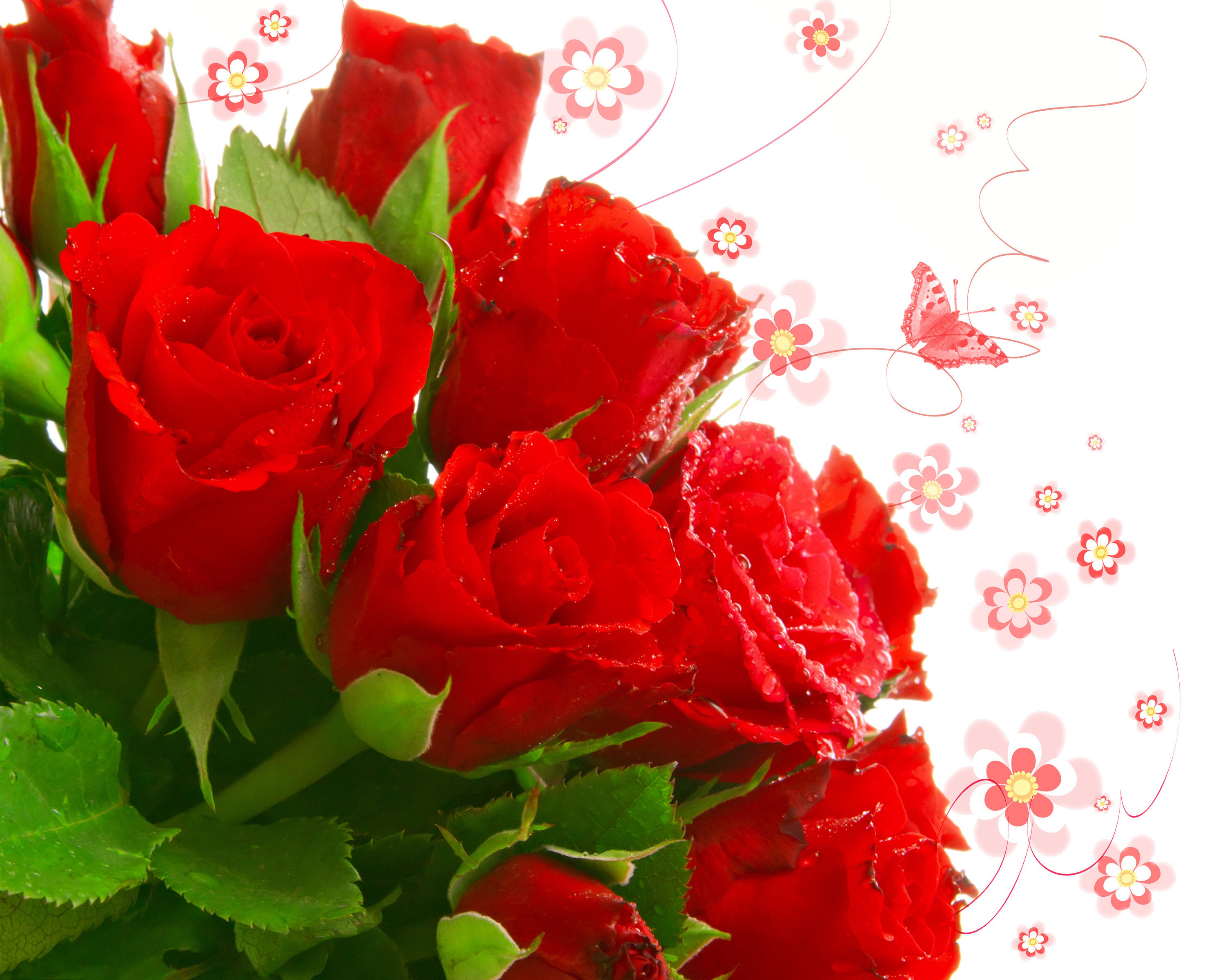 Download background flowers, roses, plants, holidays, bouquets, red