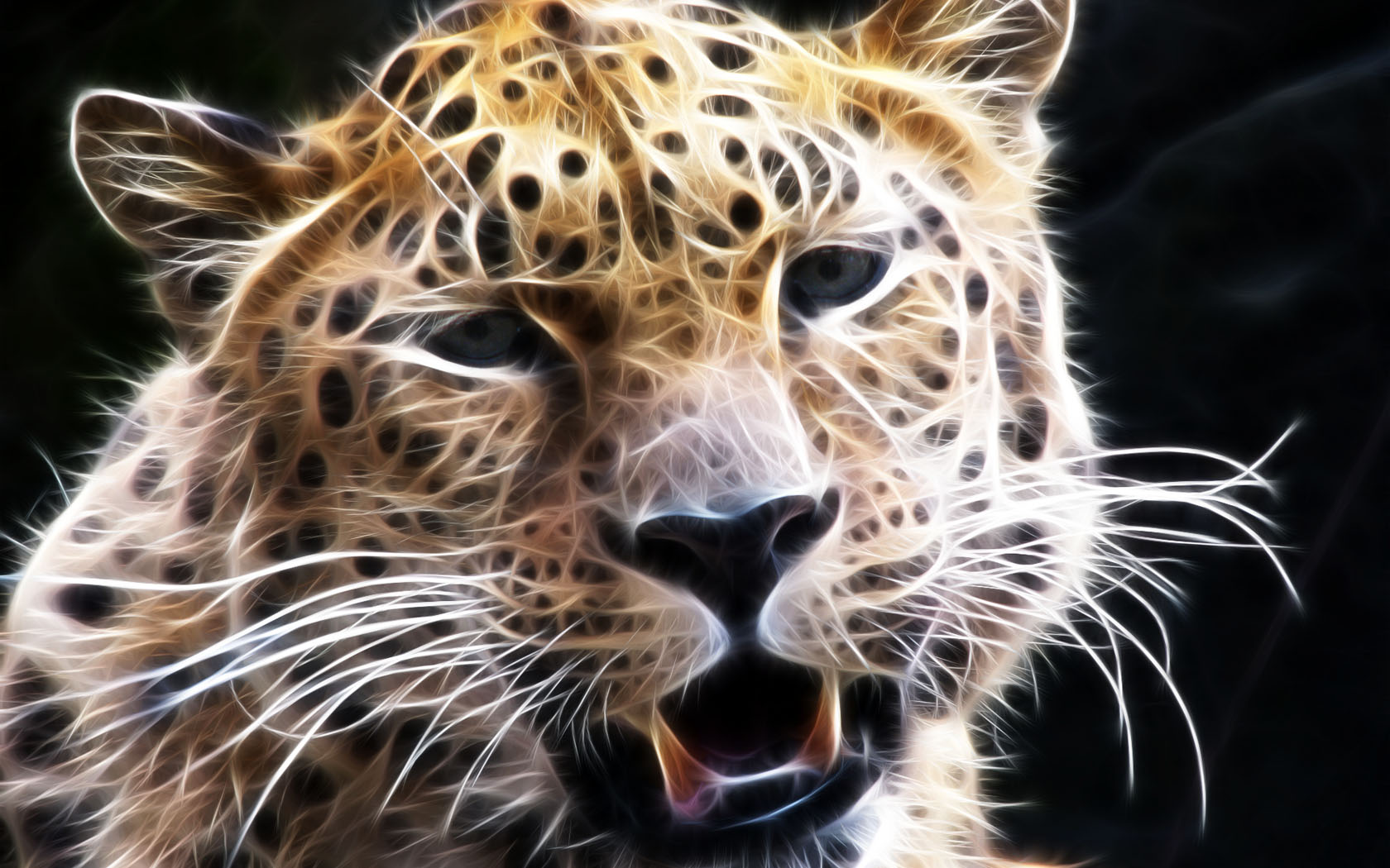 Handy-Wallpaper Leopard, Katzen, Tiere kostenlos herunterladen.