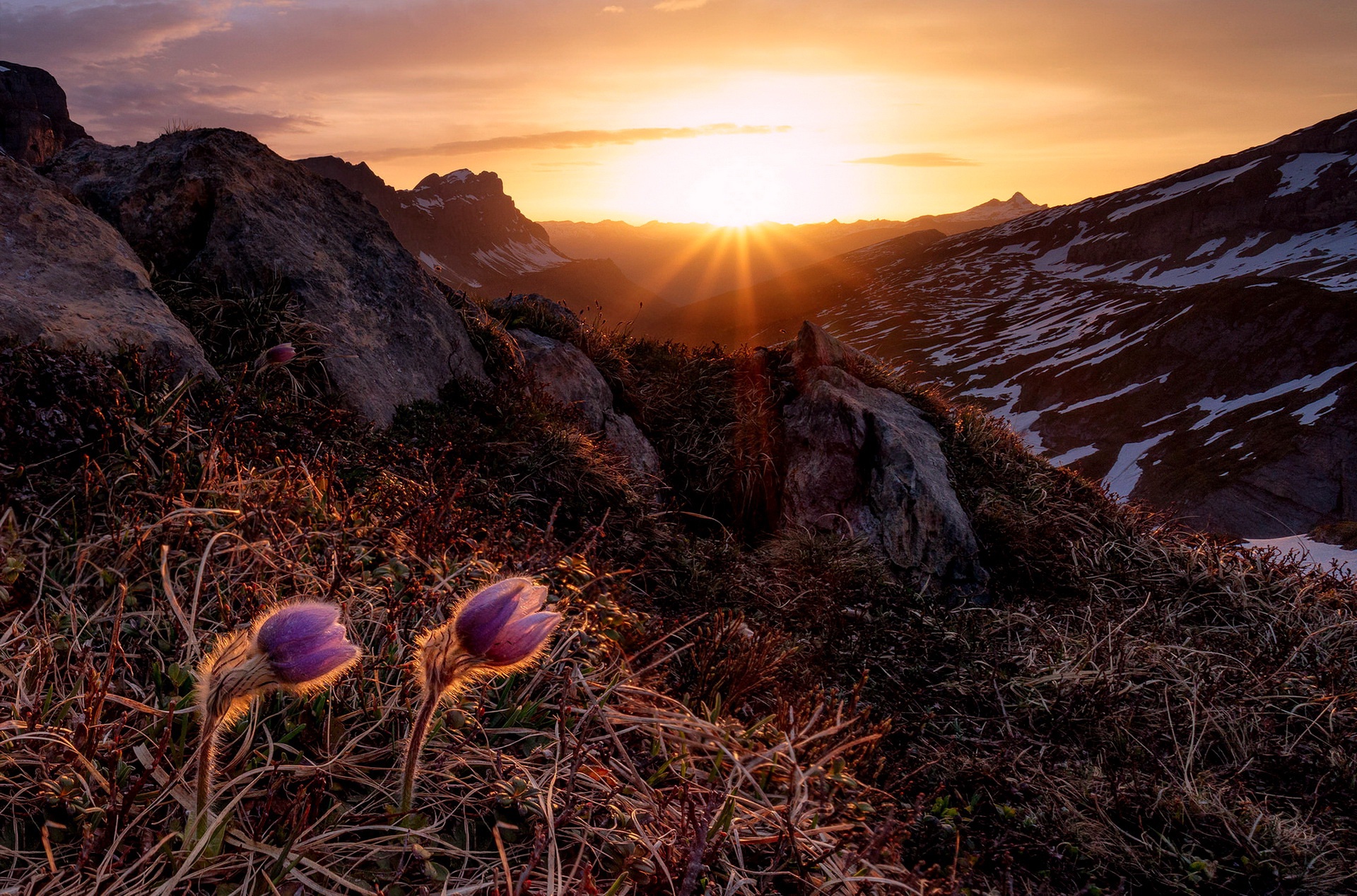 Free download wallpaper Landscape, Nature, Flower, Sunrise, Earth, Sunbeam on your PC desktop