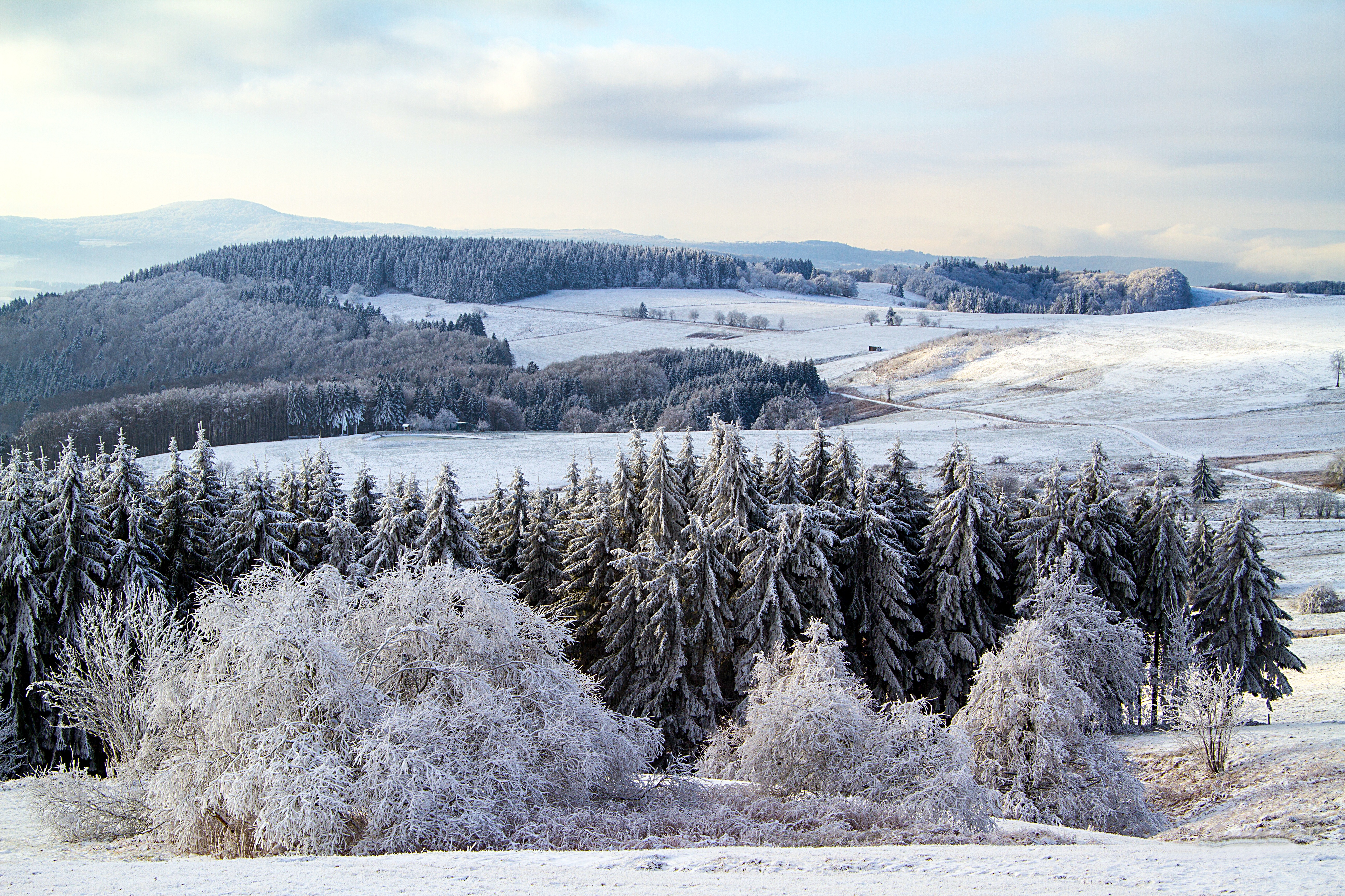 Скачать обои бесплатно Германия, Поппенхаузен, Снег, Лес, Природа картинка на рабочий стол ПК