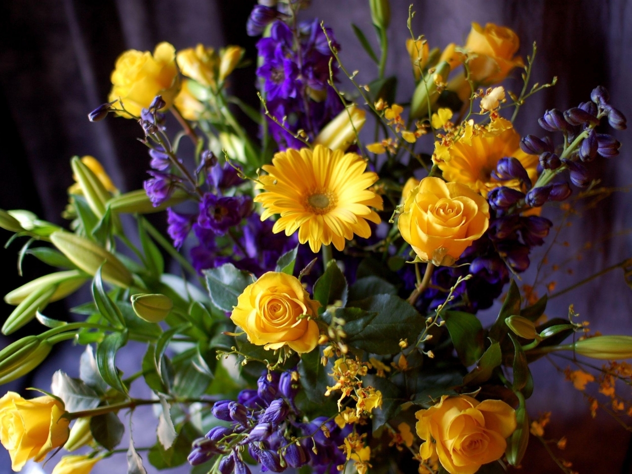 bouquets, plants, flowers 1080p