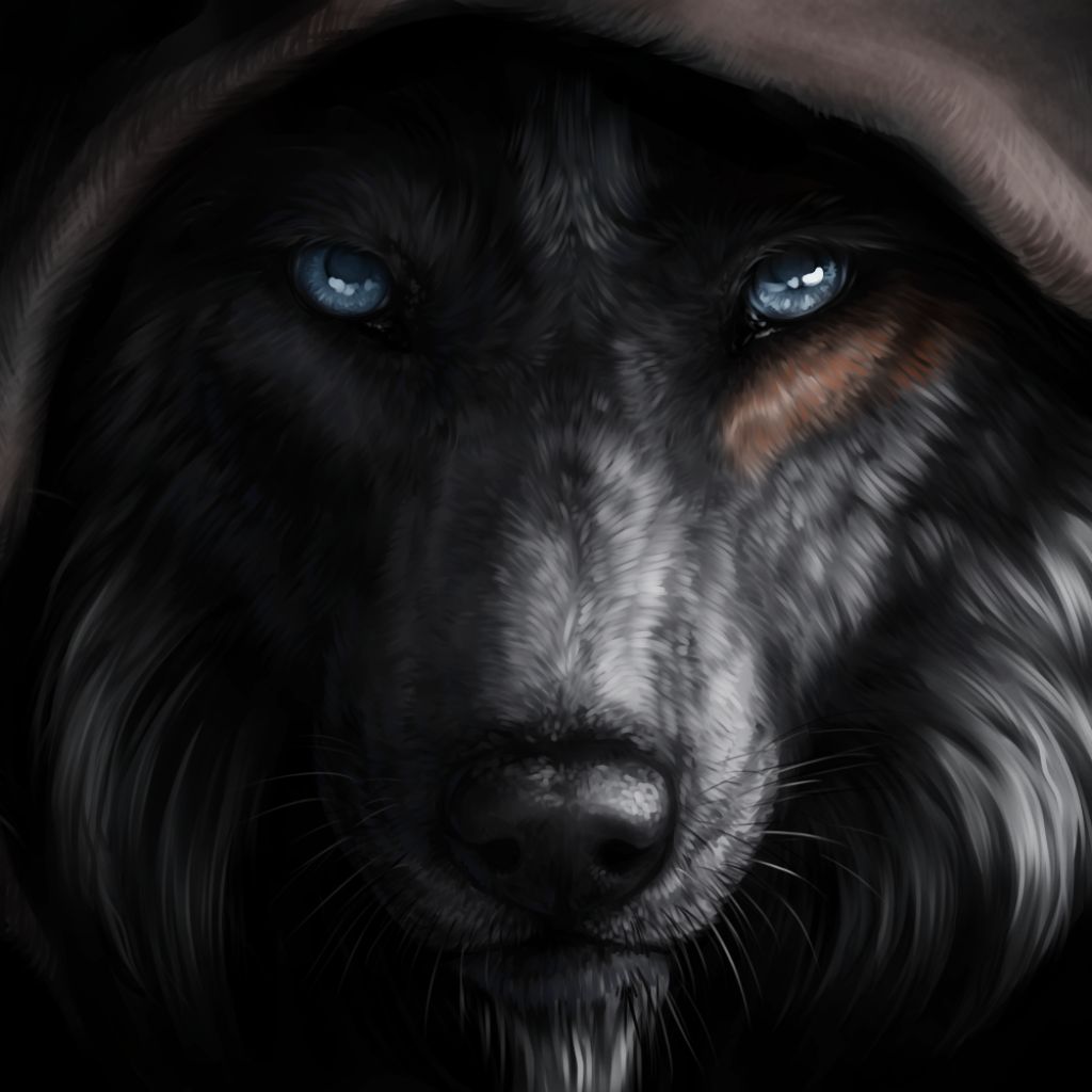 Descarga gratuita de fondo de pantalla para móvil de Fantasía, Lobo, Animales De Fantasía.