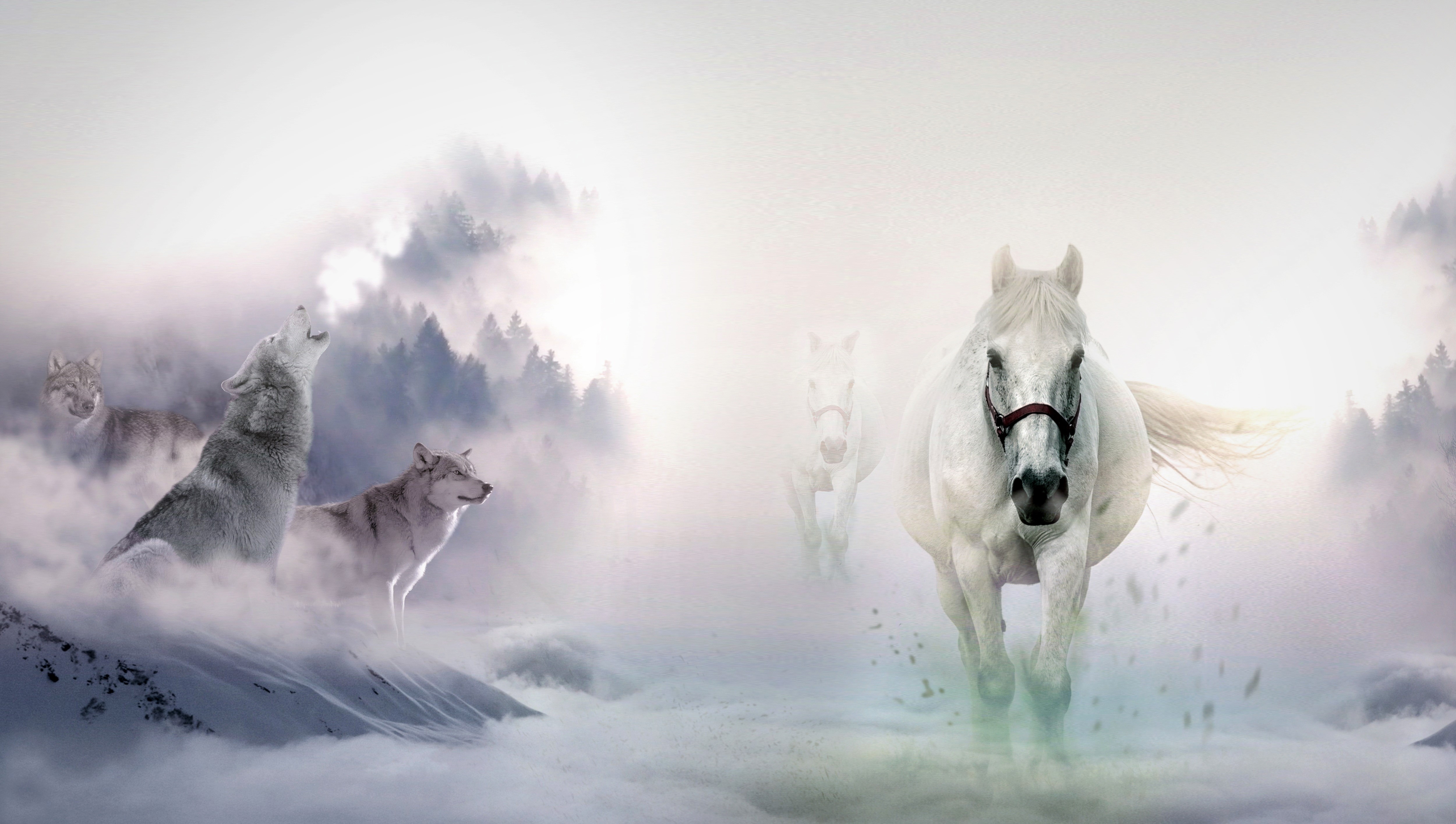 Скачать обои бесплатно Зима, Фэнтези, Снег, Белый, Волк, Животное, Лошадь, Фэнтези Животные картинка на рабочий стол ПК