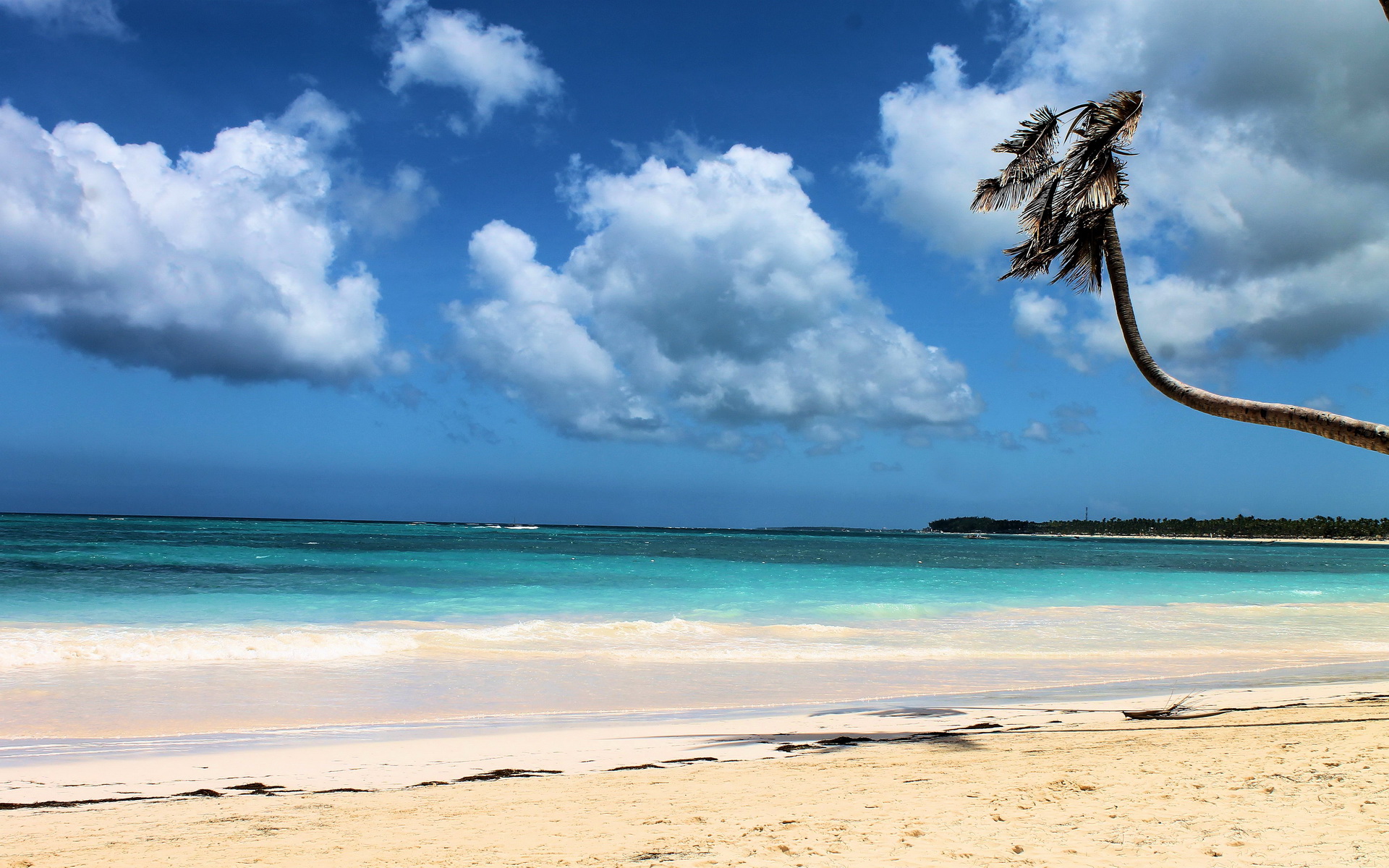 Laden Sie das Strand, Erde/natur-Bild kostenlos auf Ihren PC-Desktop herunter