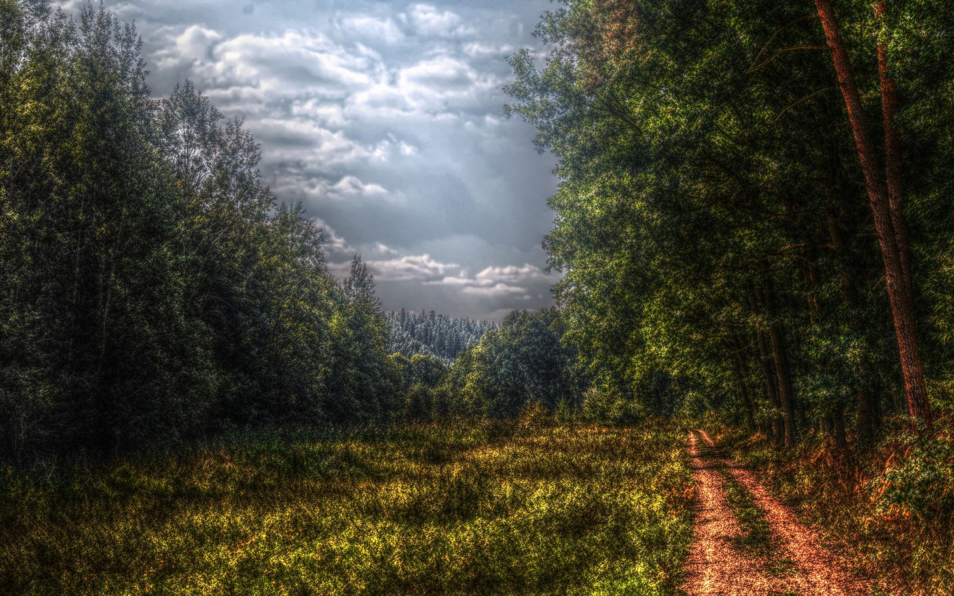 glade, forest, colors, nature, clouds, road, color, mainly cloudy, overcast, gloomy, polyana, country, countryside