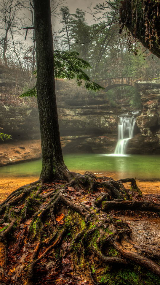 Handy-Wallpaper Wasserfälle, Wasserfall, Baum, Erde/natur kostenlos herunterladen.