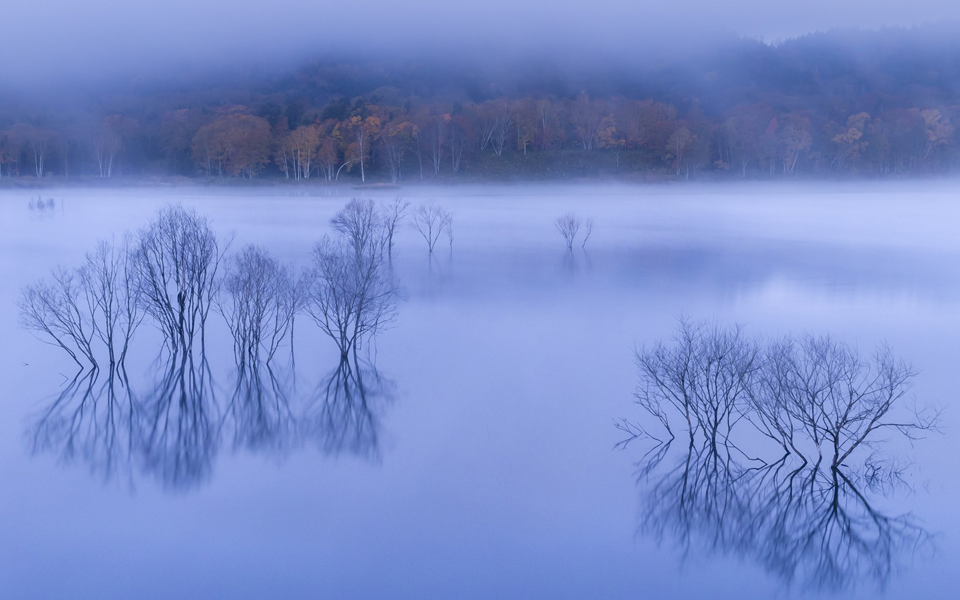 Téléchargez gratuitement l'image Automne, Terre/nature sur le bureau de votre PC