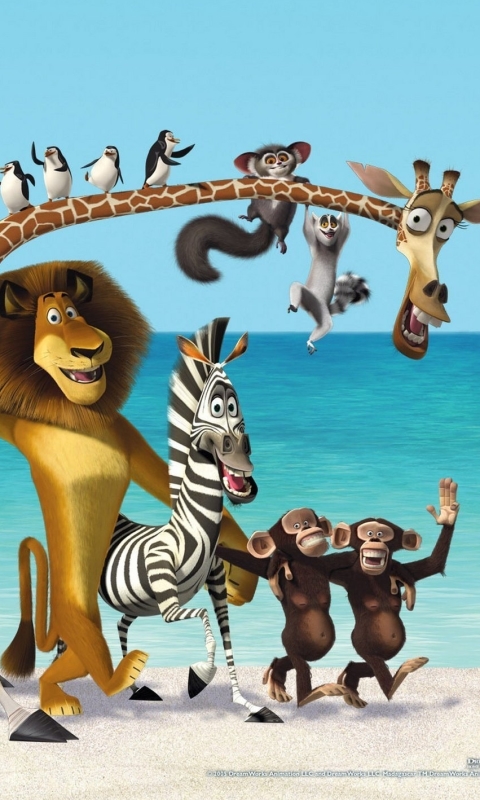 Скачать картинку Кино, Лев, Обезьяна, Жираф, Пингвин, Бегемот, Гиппопотам, Жирафа, Мадагаскар 3 в телефон бесплатно.