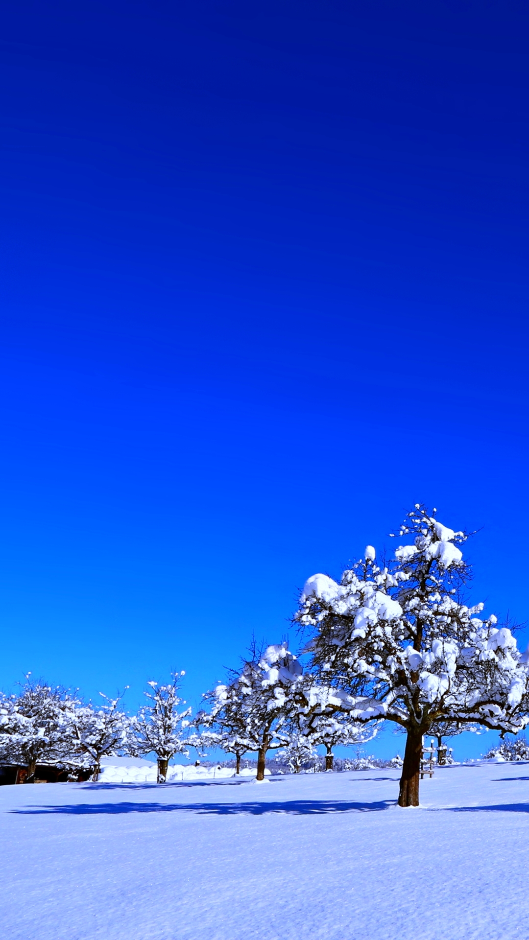 Download mobile wallpaper Landscape, Winter, Nature, Trees, Snow, Tree, Earth for free.