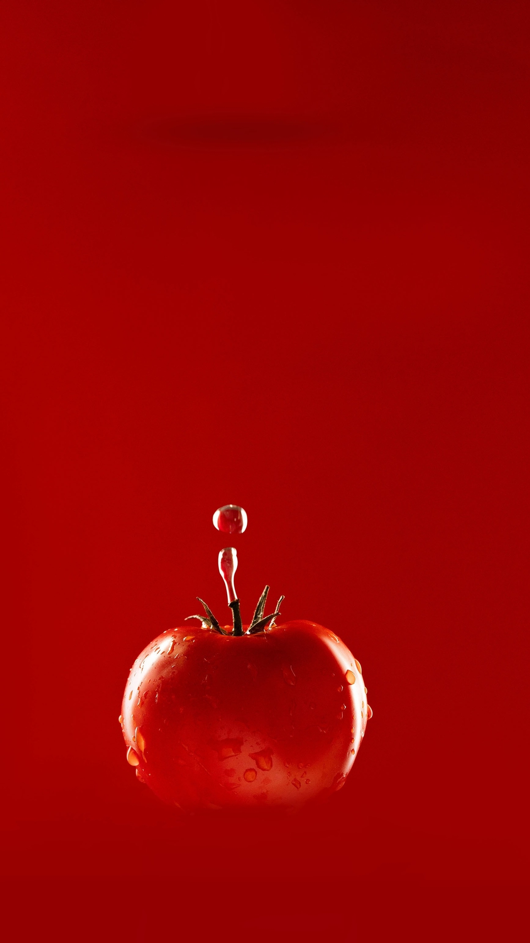 Handy-Wallpaper Tomate, Nahrungsmittel, Früchte kostenlos herunterladen.