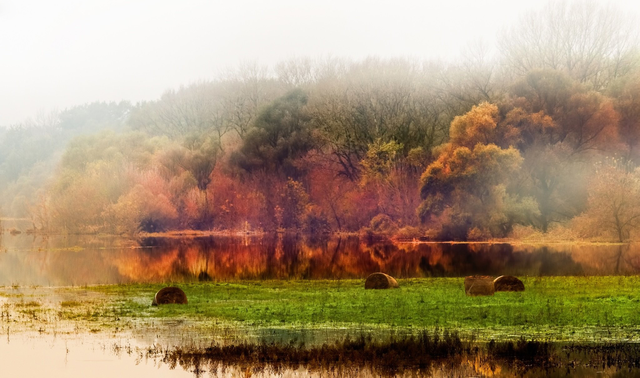 Download mobile wallpaper Landscape, Nature, Forest, Fog, Fall, Earth, Pond, Haystack for free.