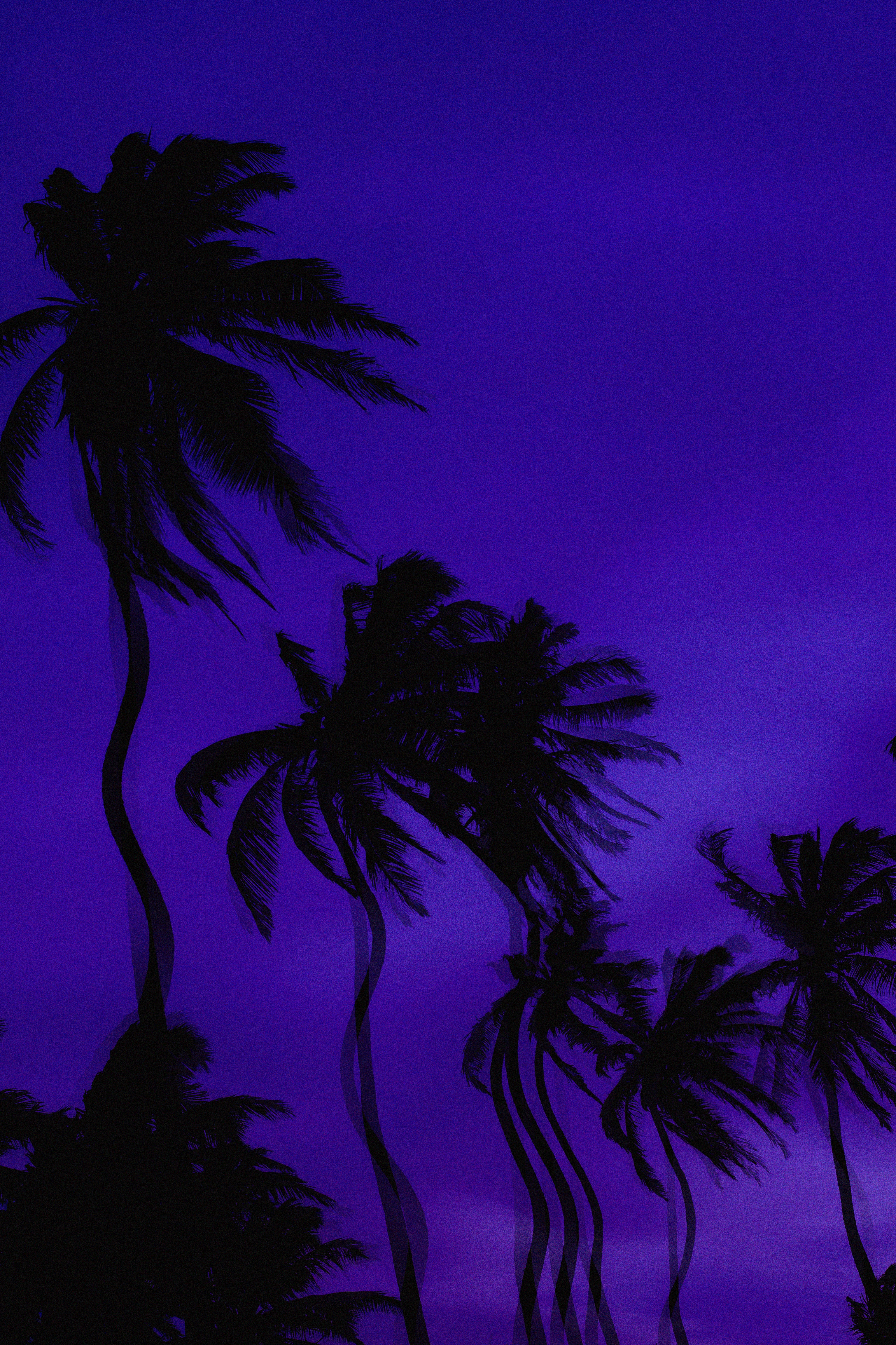 Download mobile wallpaper Distortion, Palms, Illusion, Dark for free.