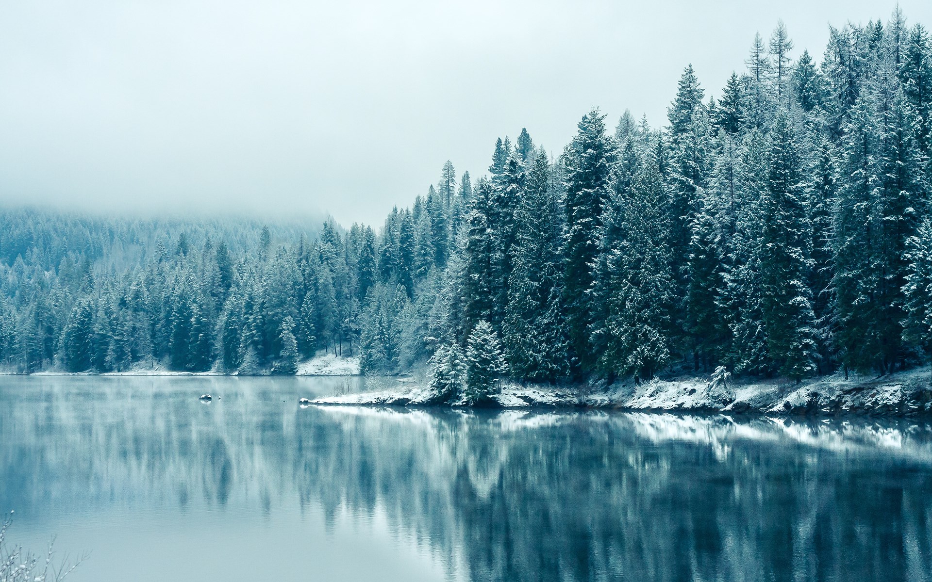 Téléchargez gratuitement l'image Hiver, Terre/nature sur le bureau de votre PC