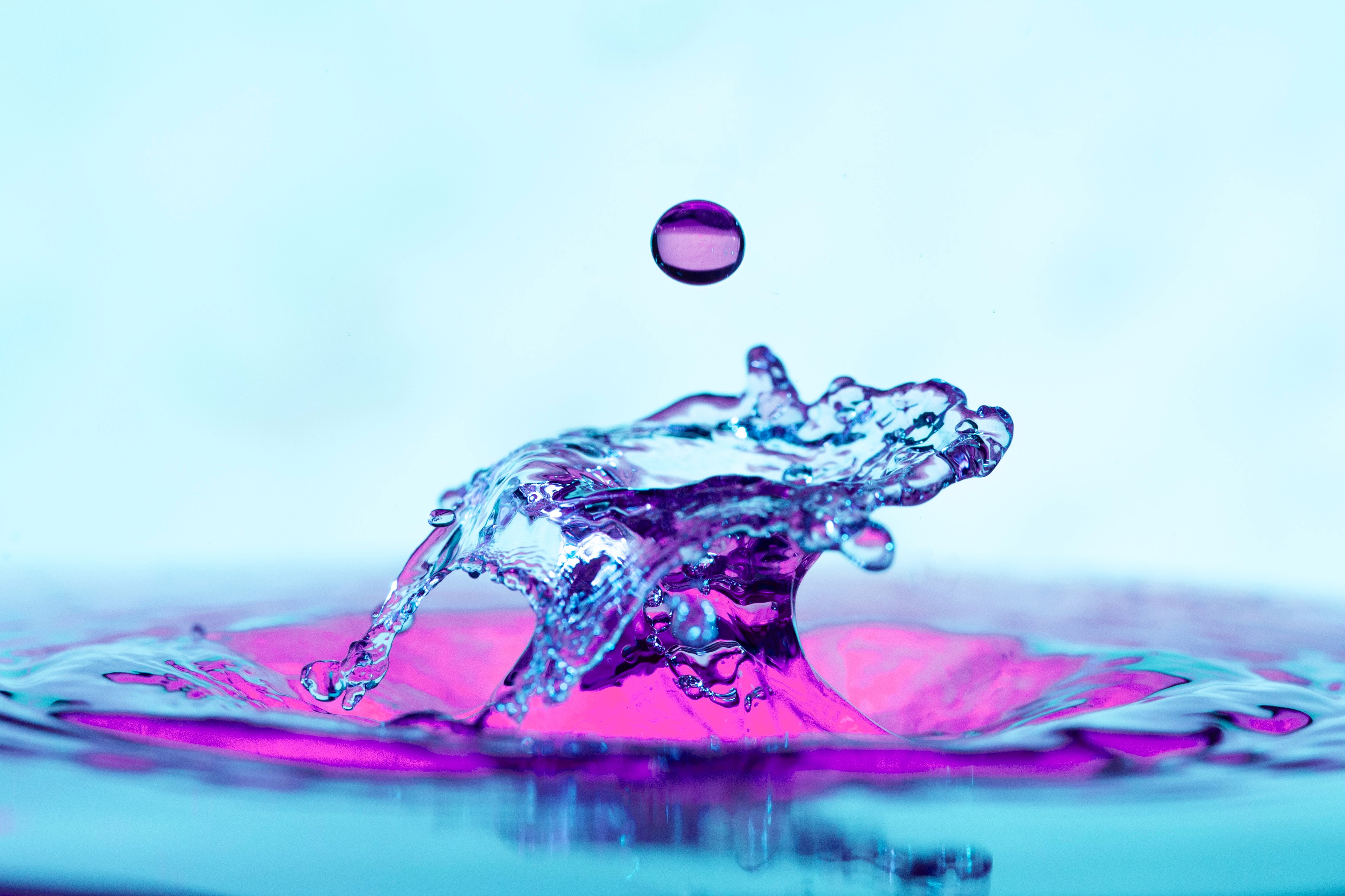 water, drop, purple, violet, macro, splash 5K