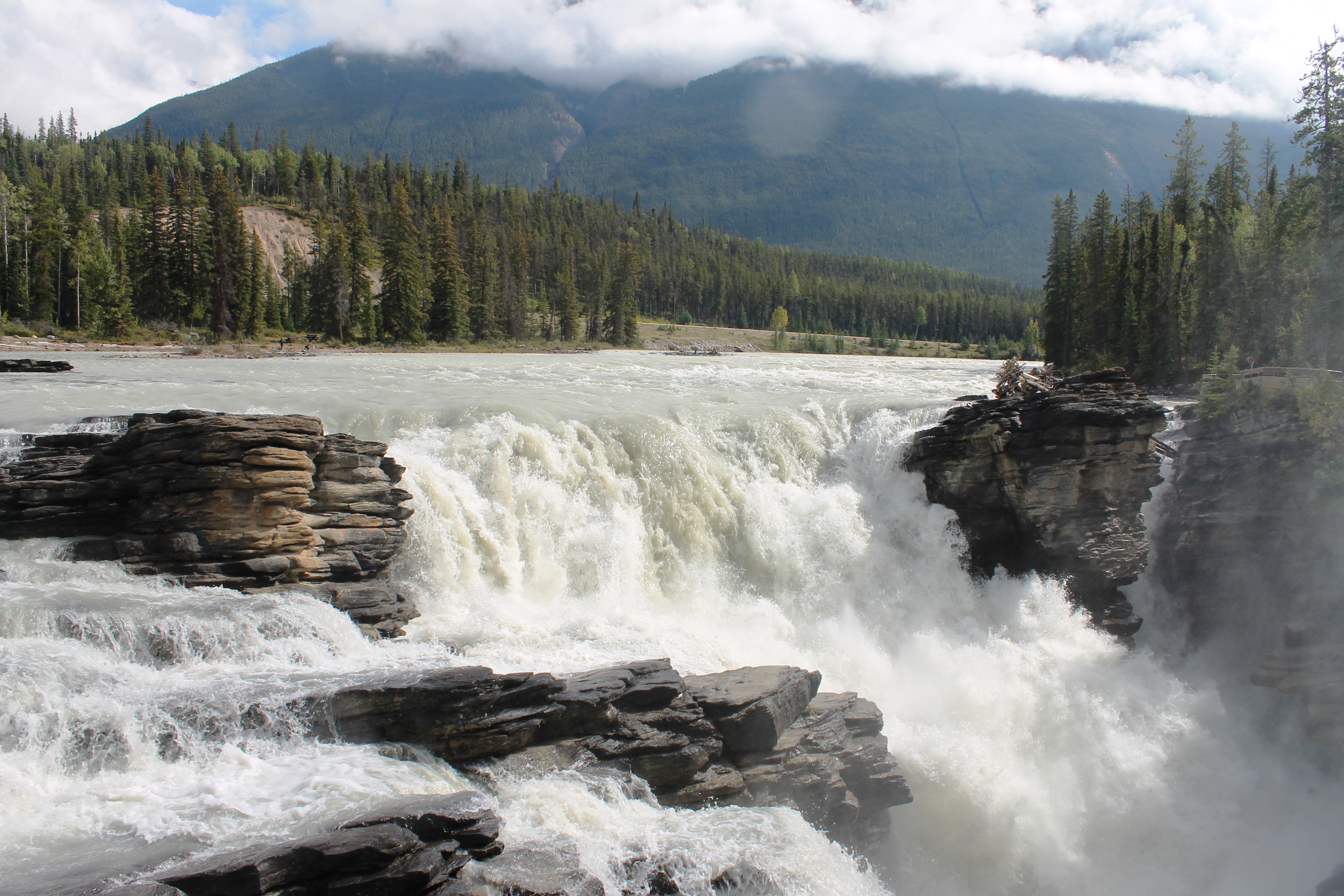 earth, athabasca falls, canada, forest, jasper national park, nature, river, waterfall, waterfalls HD wallpaper