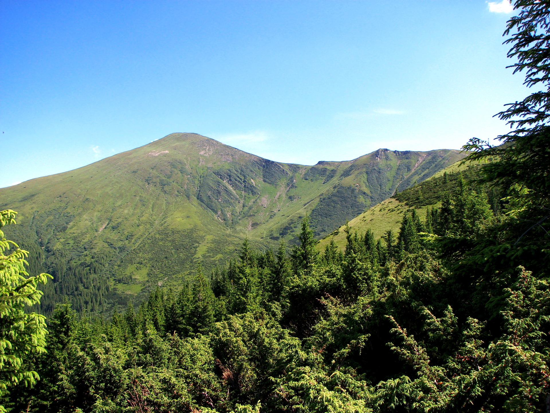 PCデスクトップに木, 山, 森, 地球, 山岳画像を無料でダウンロード