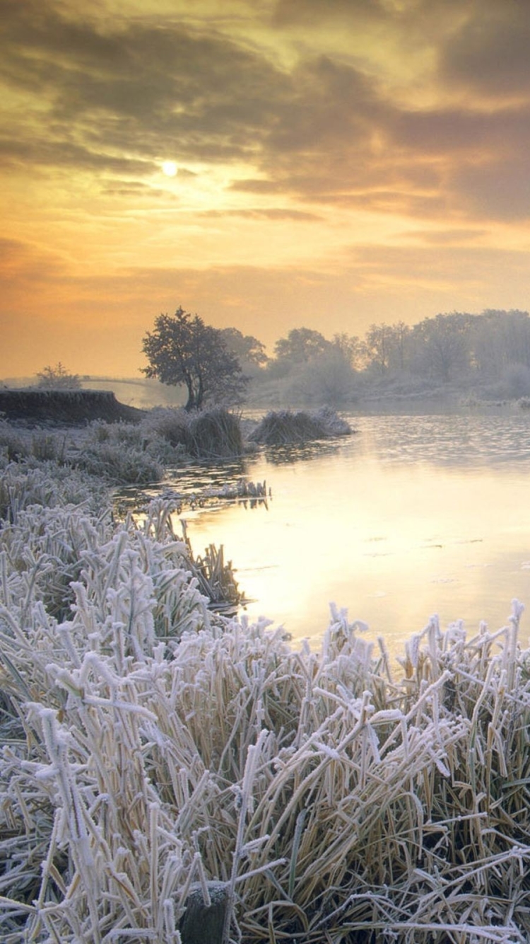 Download mobile wallpaper Winter, Nature, Water, Ice, Lake, Tree, Sunrise, Earth, Frost, England for free.