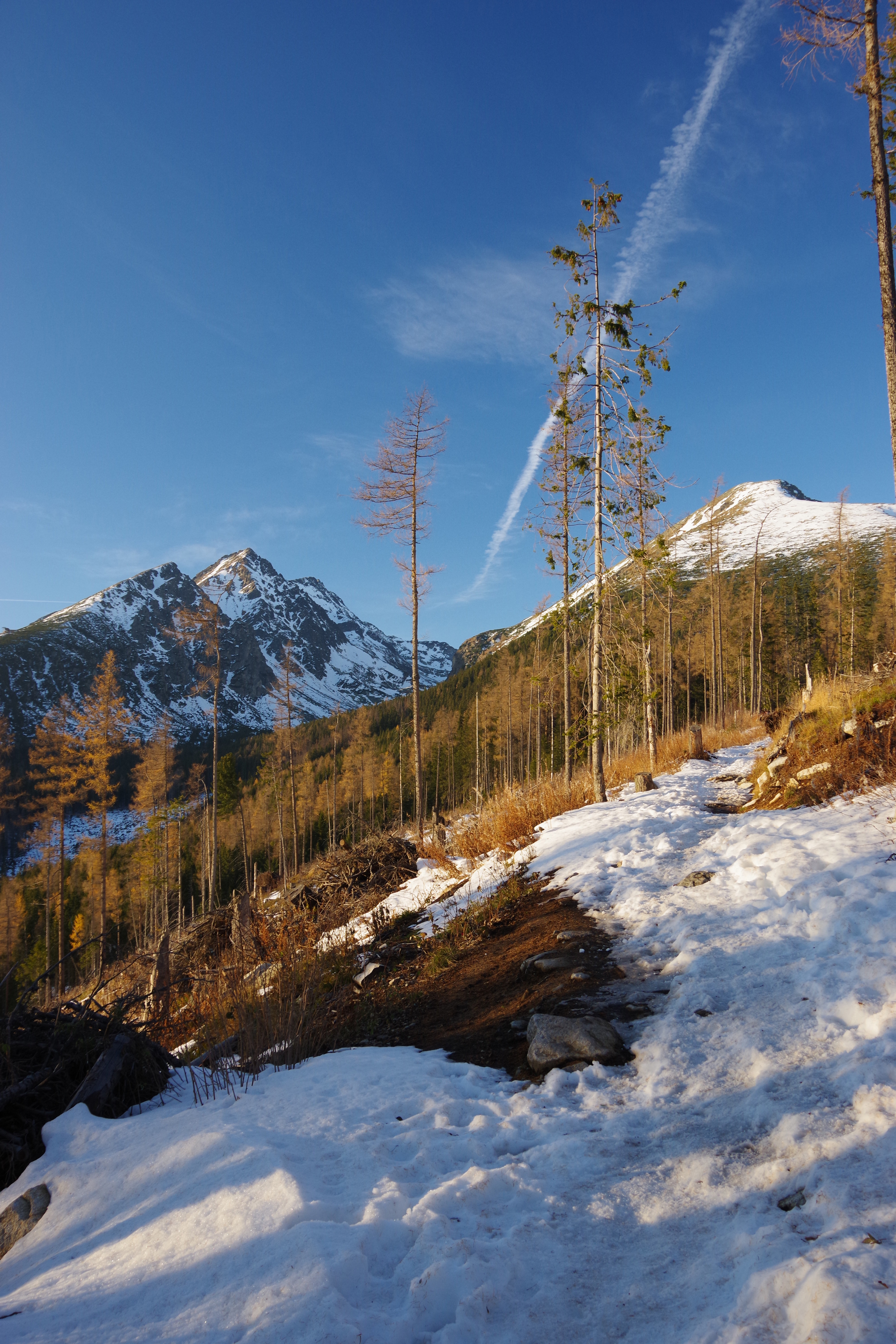 Скачать обои бесплатно Снег, Природа, Гора, Зима, Деревья картинка на рабочий стол ПК