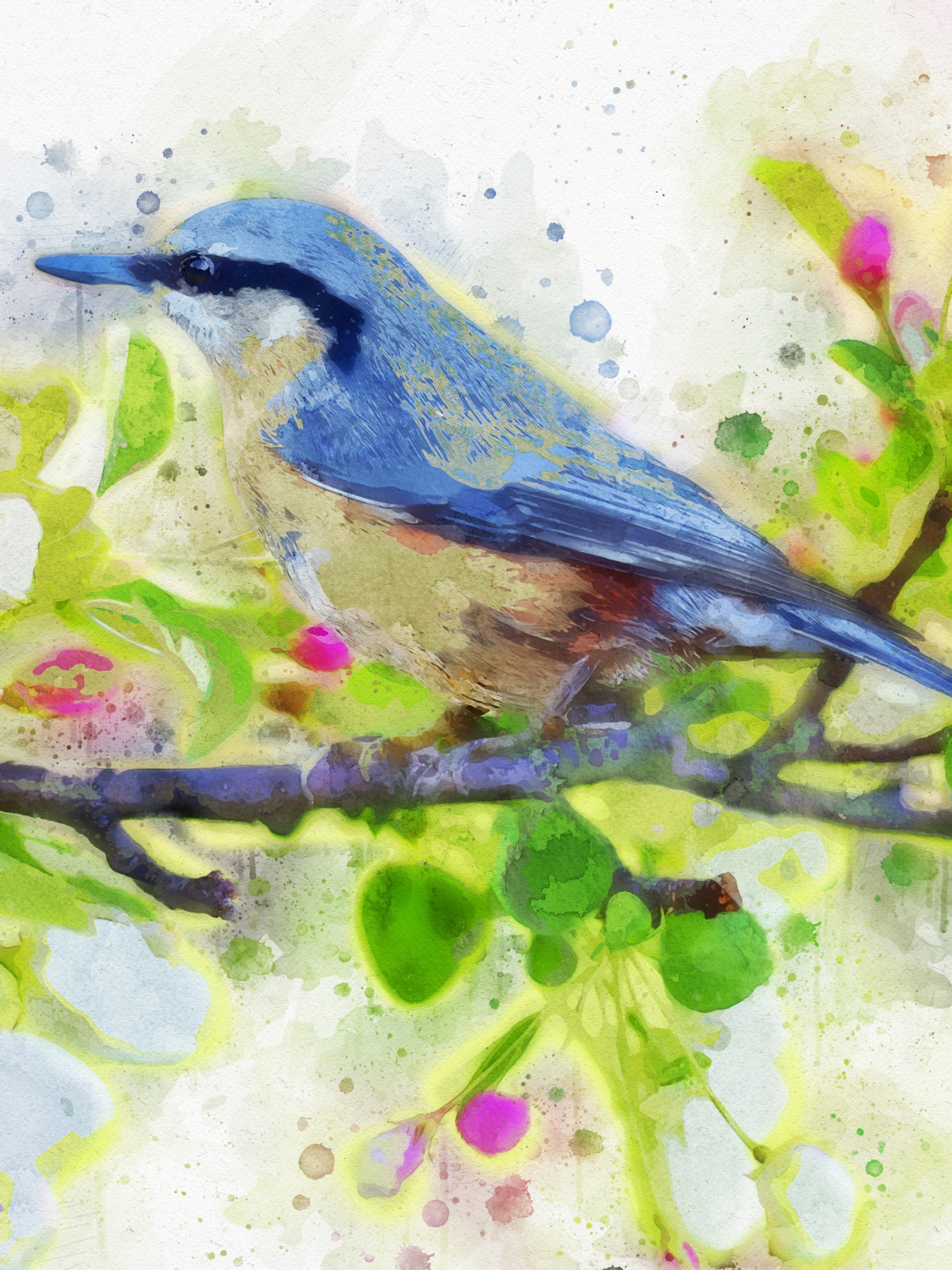 Free download wallpaper Birds, Bird, Branch, Animal, Watercolor on your PC desktop