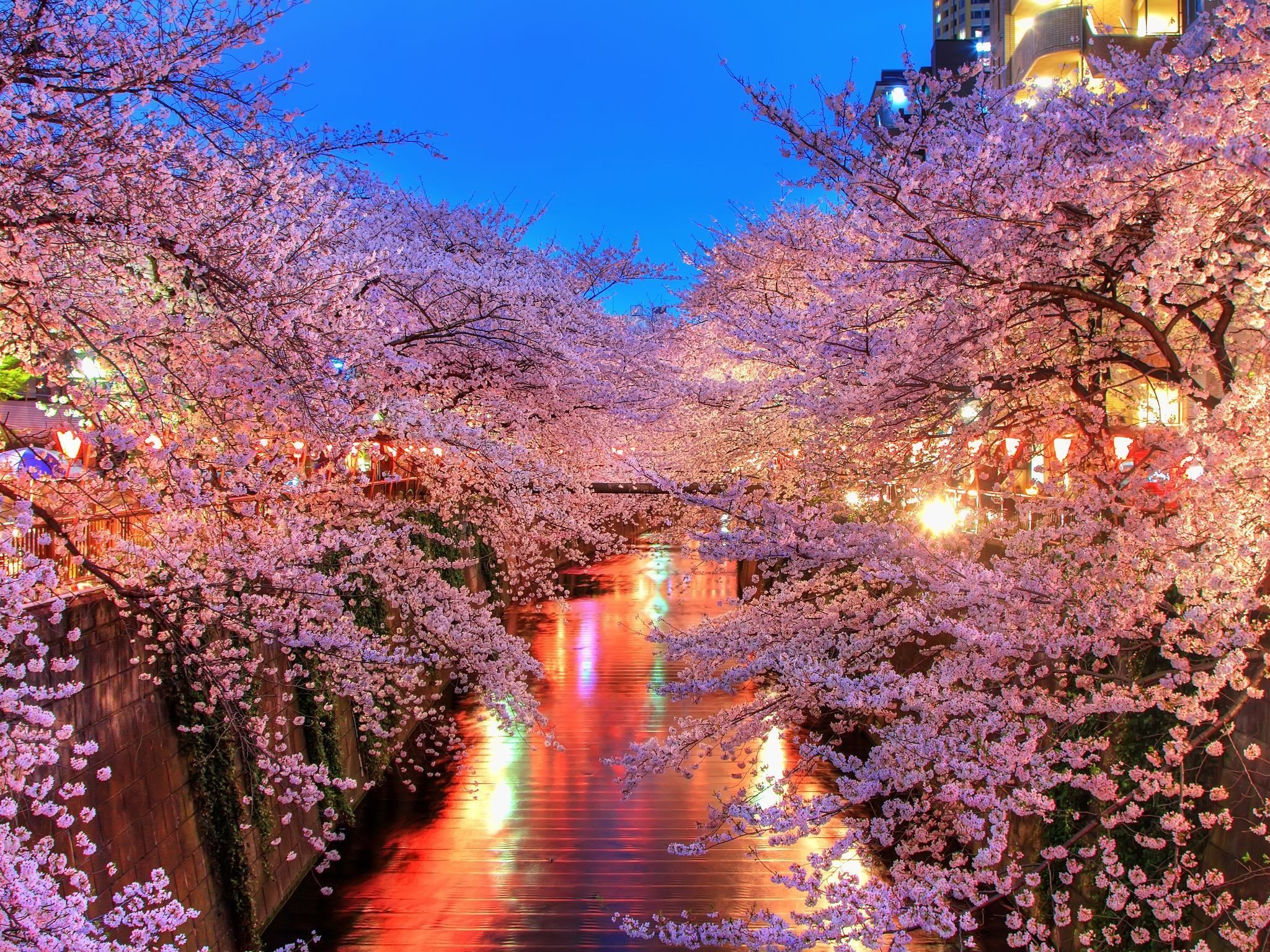 flowers, landscape, rivers, trees, red