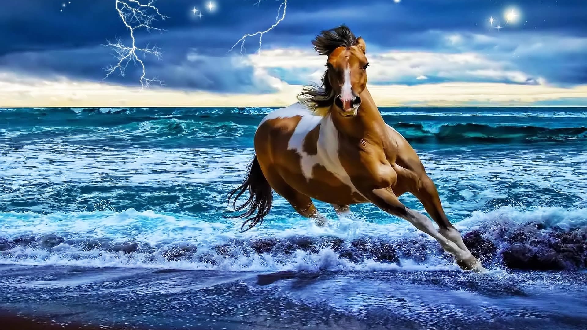 無料モバイル壁紙動物, 馬, 波, 海洋をダウンロードします。